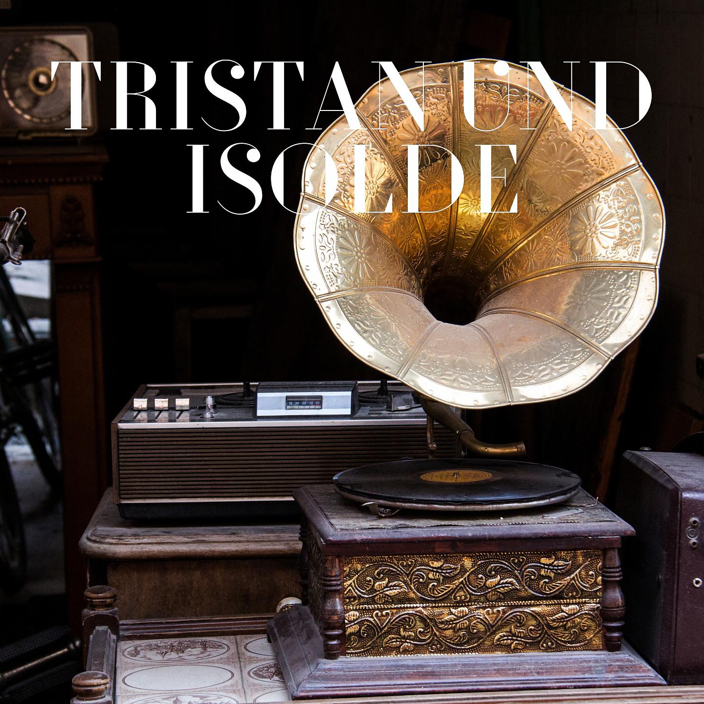 Постер альбома Tristan und Isolde