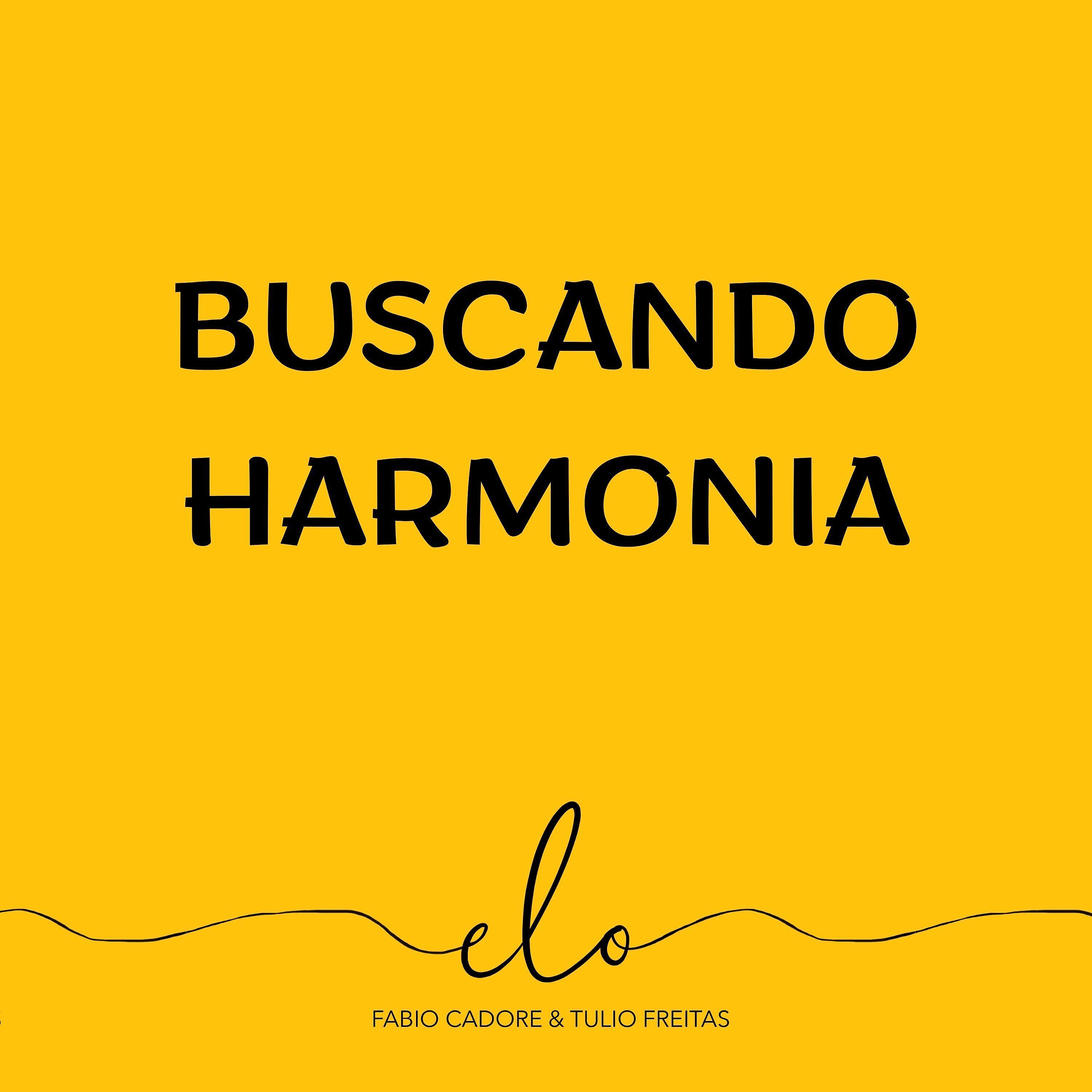 Постер альбома Buscando Harmonia