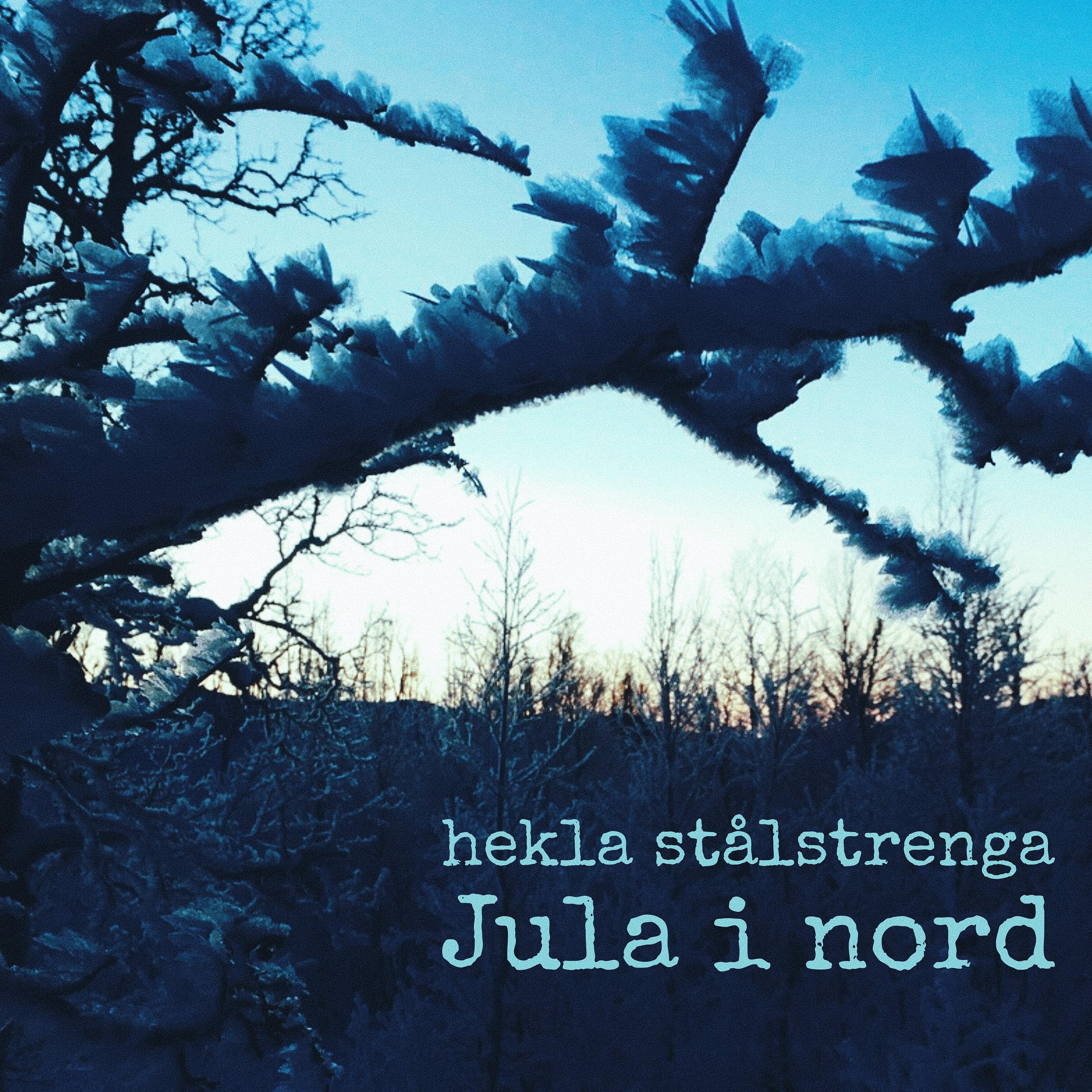 Постер альбома Jula i nord