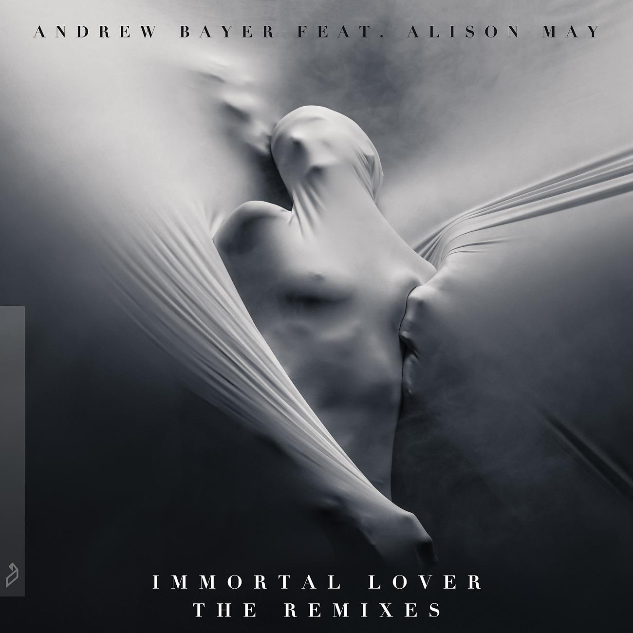 Постер альбома Immortal Lover (The Remixes)