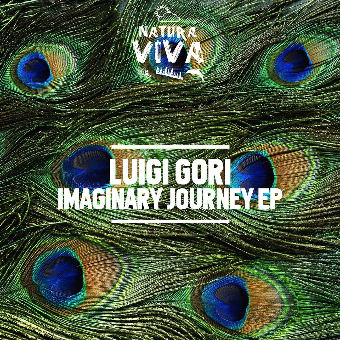 Luigi Gori - Imaginary Journey
