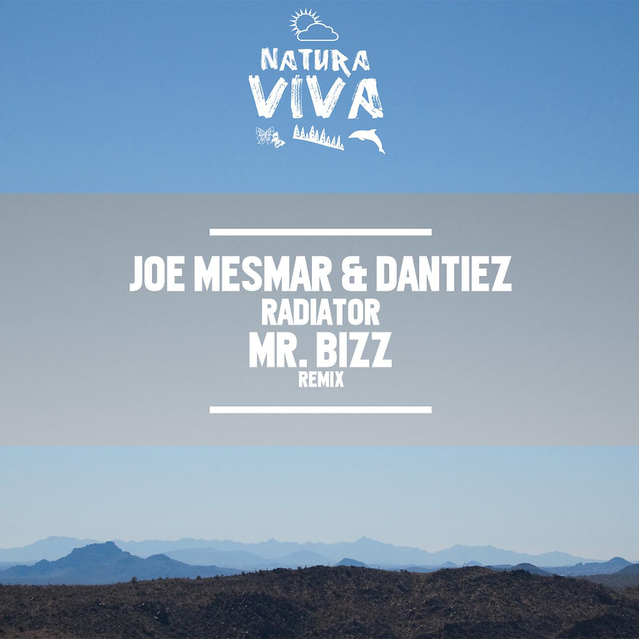 Joe Mesmar - Radiator