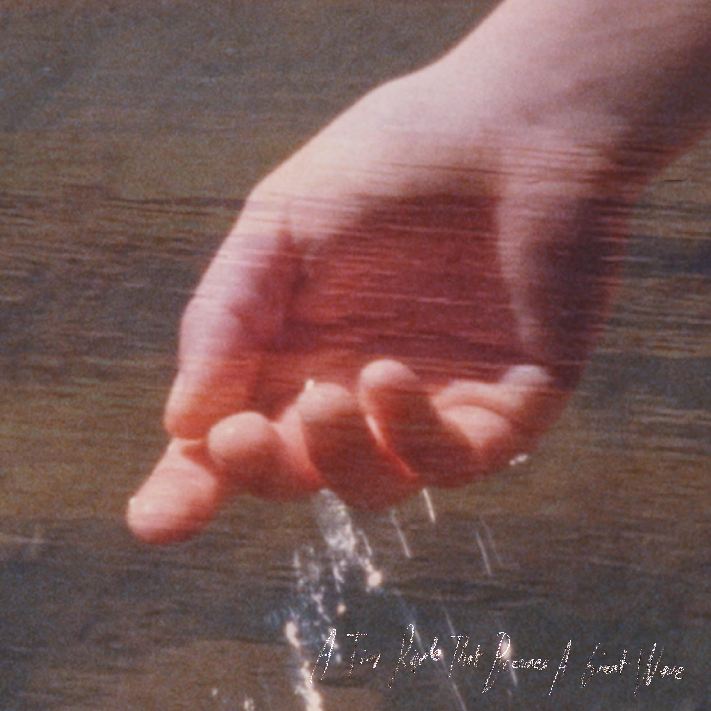Slow Meadow - A Tiny Ripple That Becomes A Giant Wave