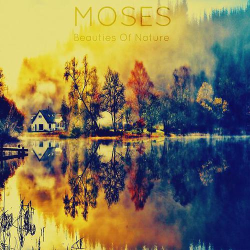 MOSES - Breezy