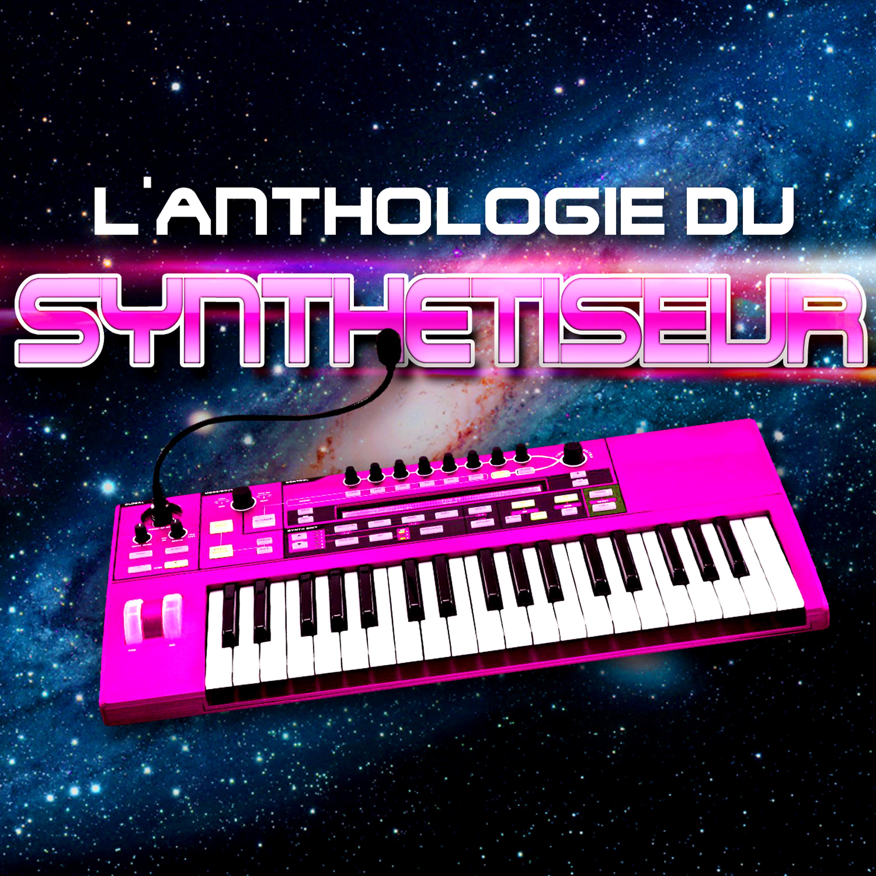 Постер альбома L'anthologie Du Synthétiseur