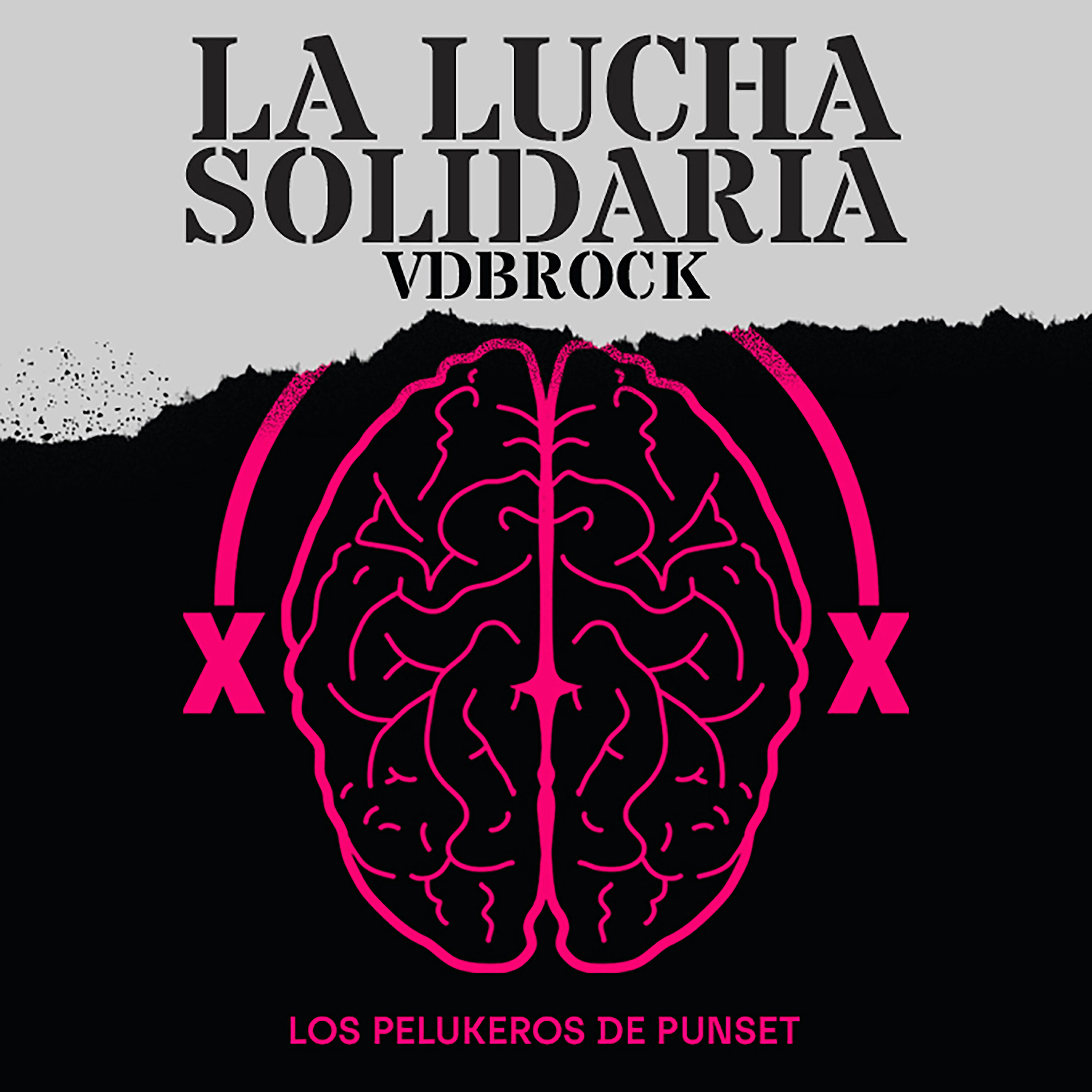 Los Pelukeros de Punset - La Lucha Solidaria (VDBROCK)
