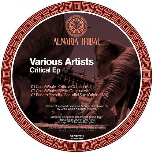 Carlo Whale - Critical
