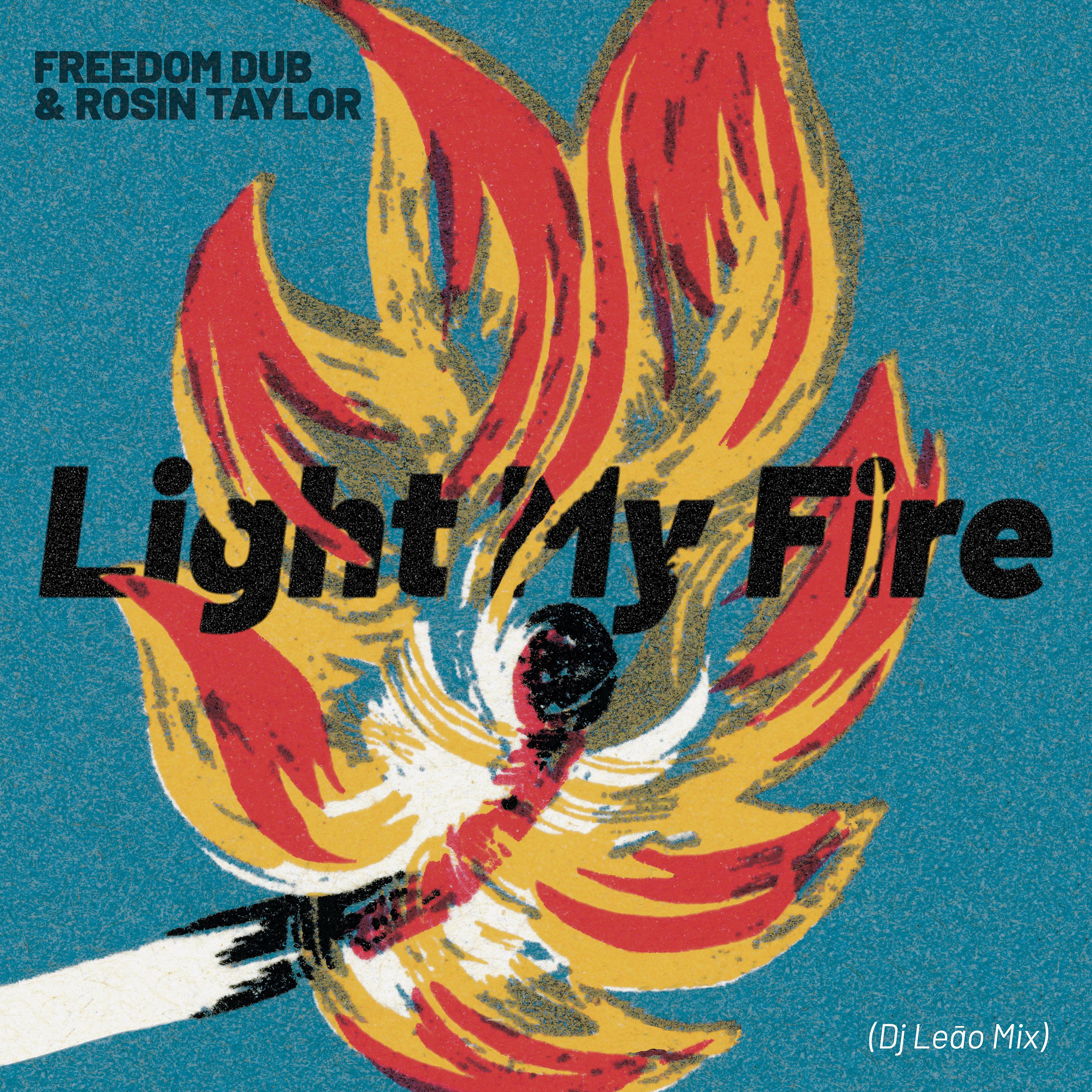 Постер альбома Light My Fire (Dj Leao Mix)