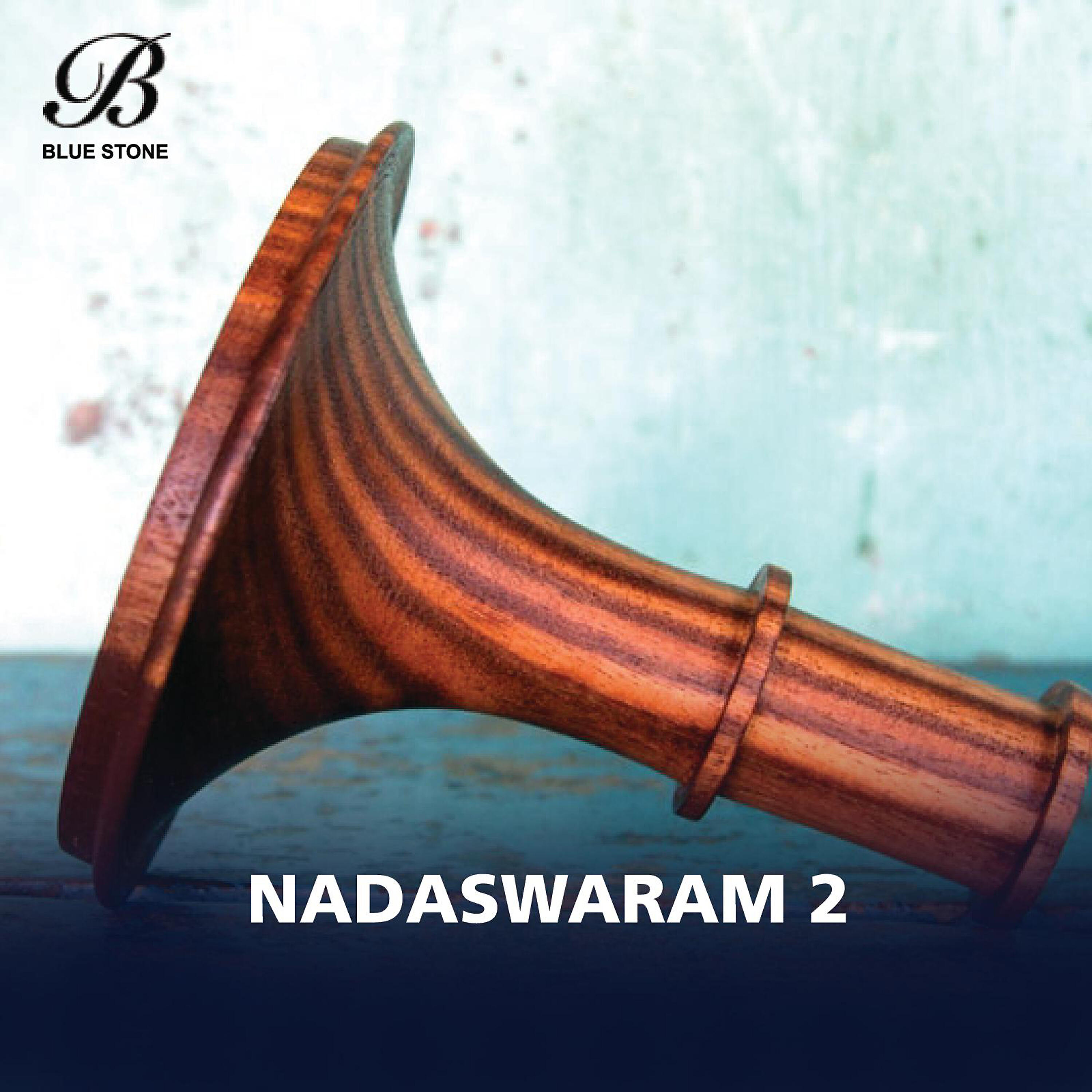V. Satyanarayana - Sadananda Thandavamu - Bahudari - Adi