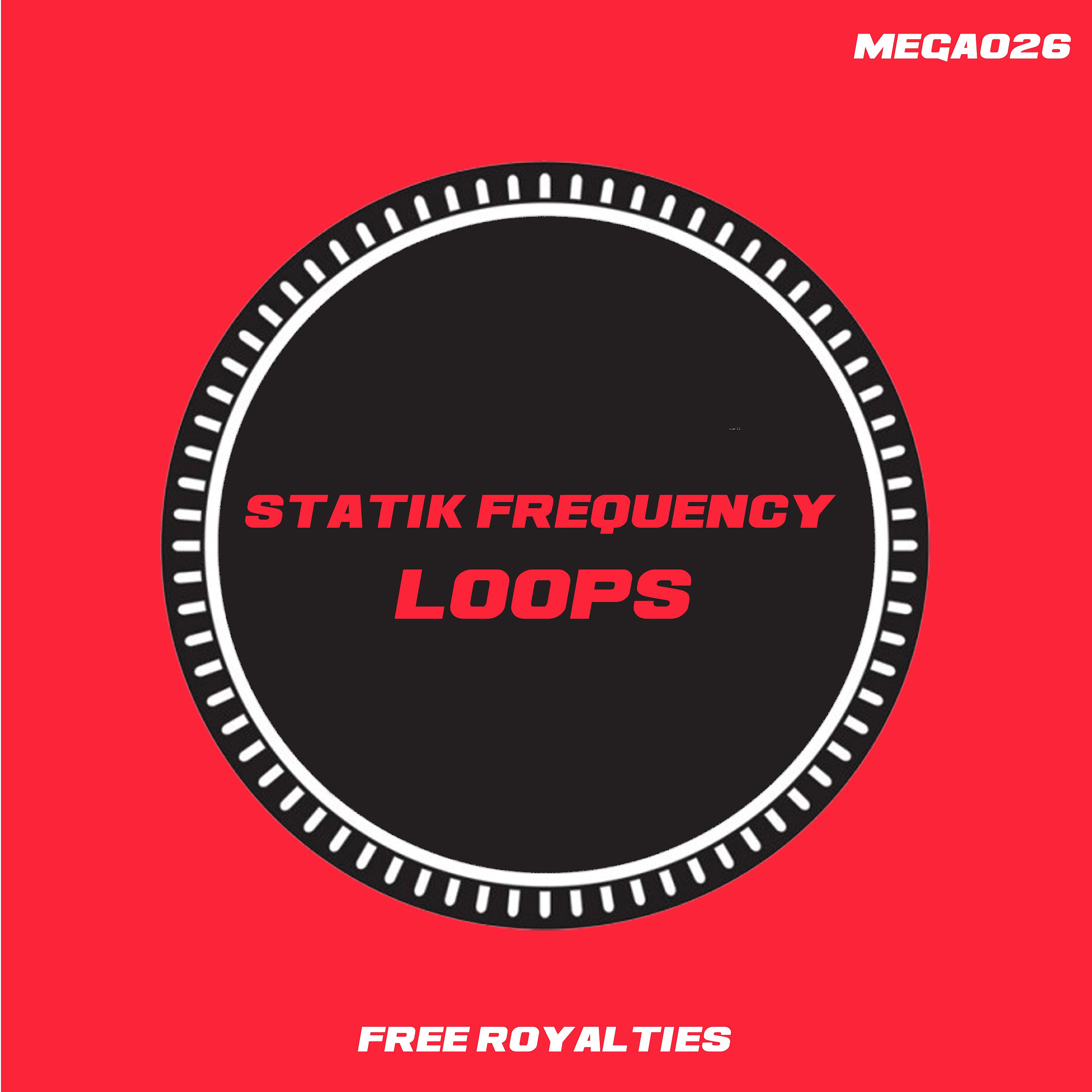 Постер альбома Statik Frequency Loops