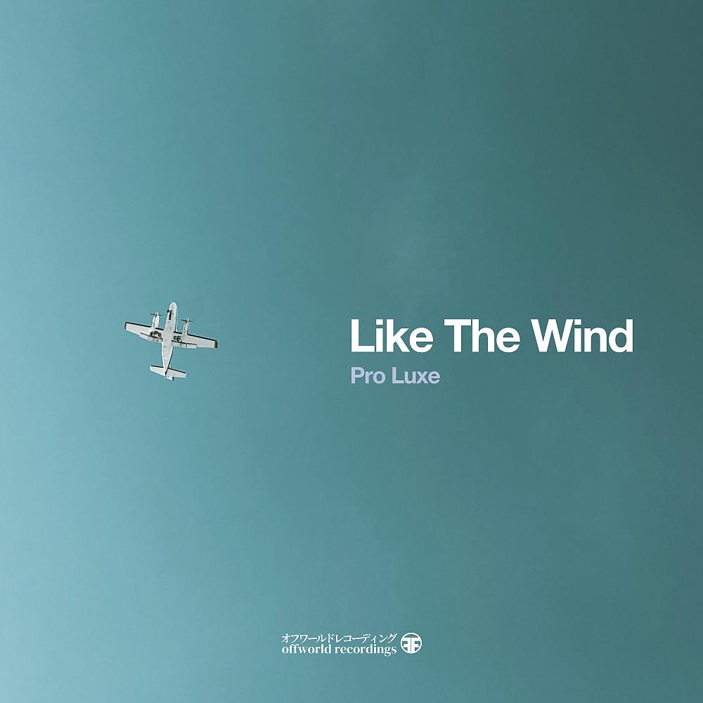 Постер альбома Like The Wind Ep