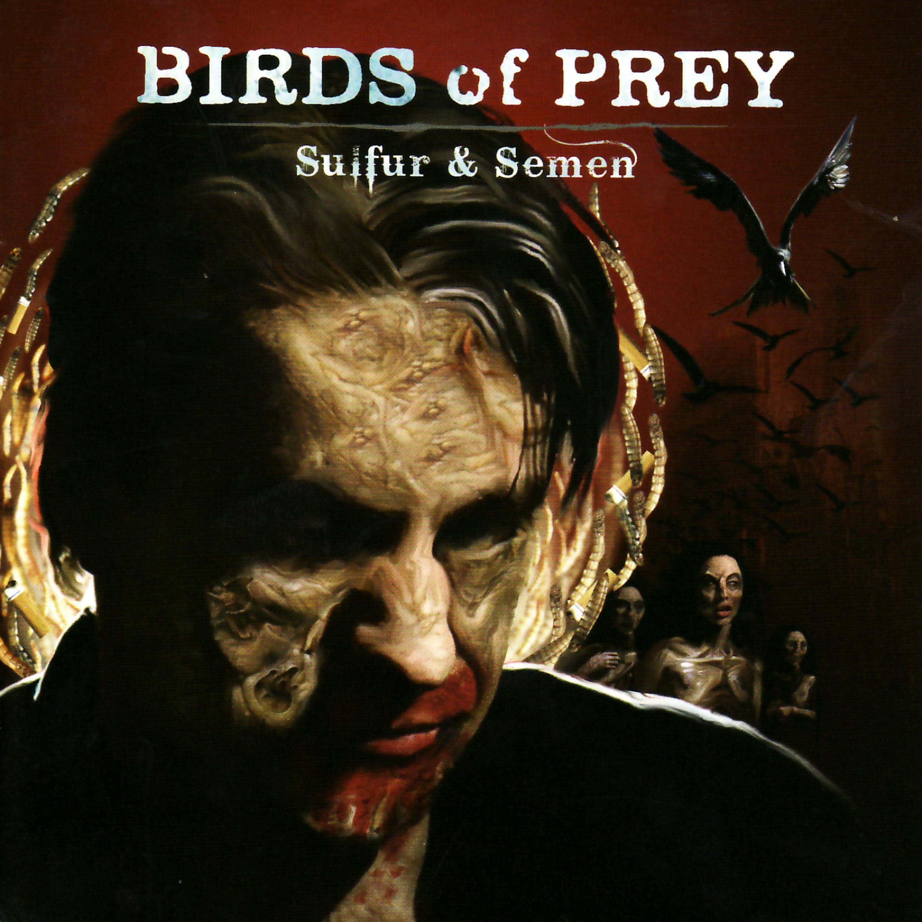 Постер альбома Sulfur and Semen