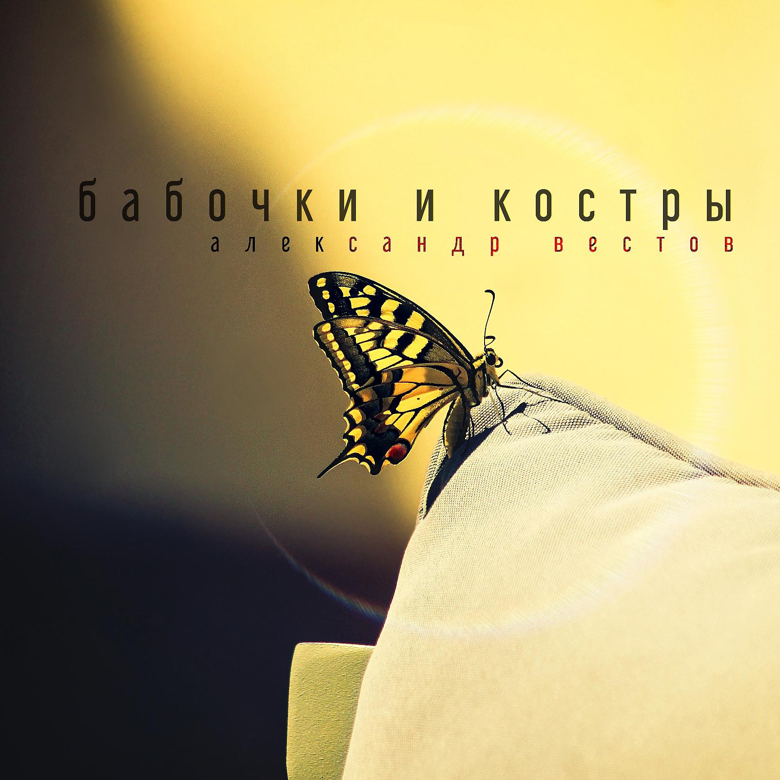 Постер альбома Бабочки и костры