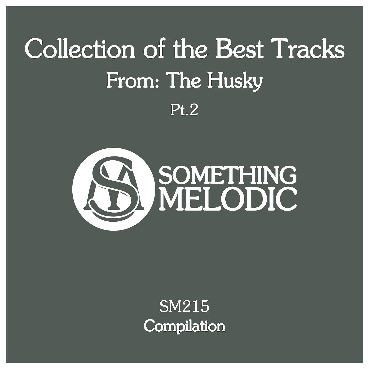 Постер альбома Collection of the Best Tracks From: The Husky, Pt. 2