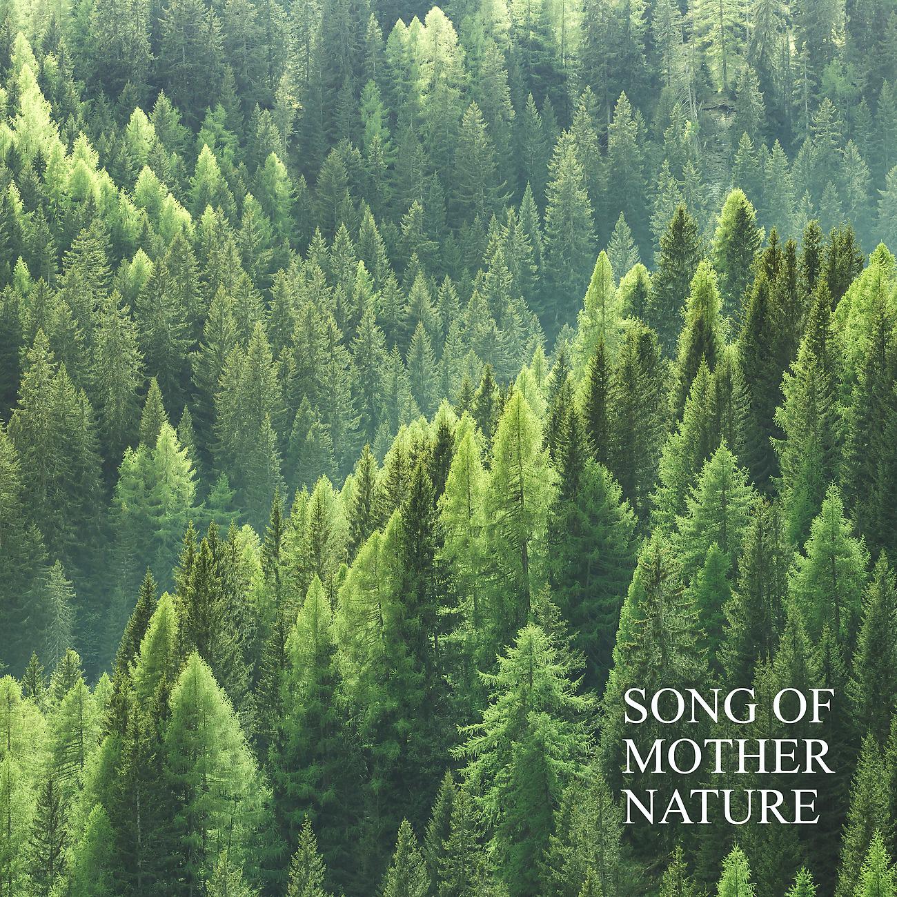 Постер альбома Song of Mother Nature