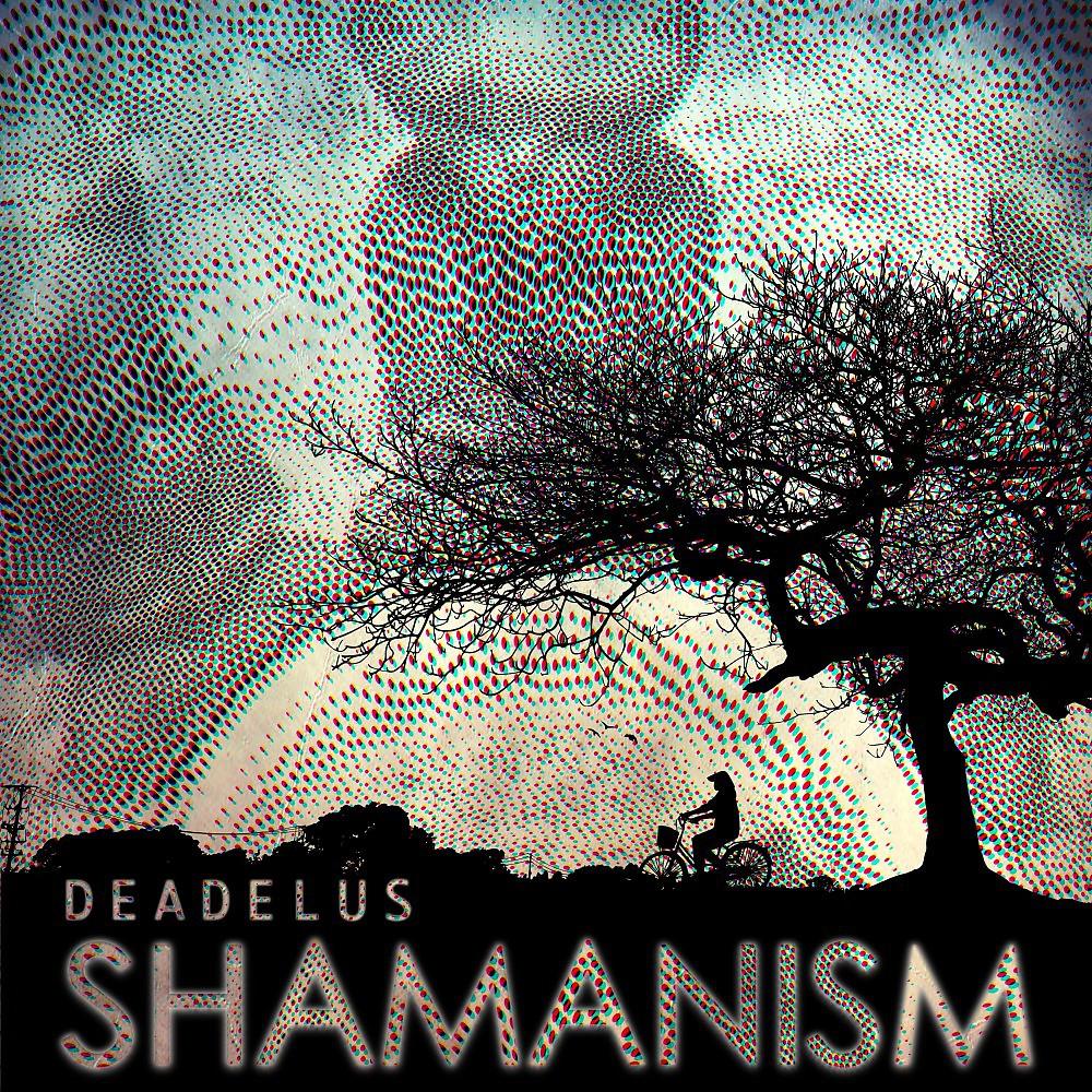 Постер альбома Shamanism