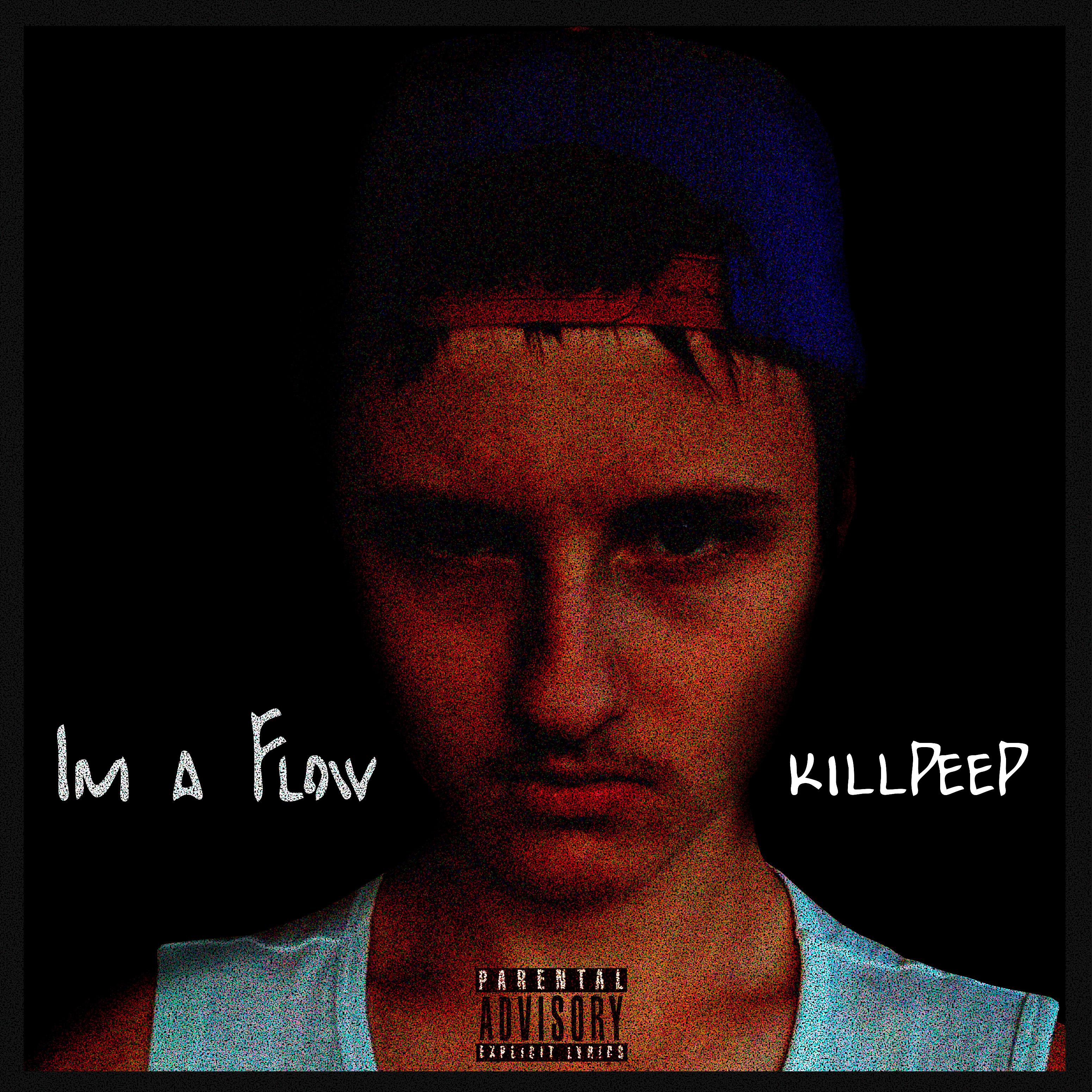 Постер альбома Im a Flow