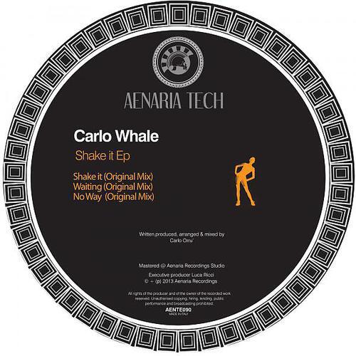 Carlo Whale - Waiting