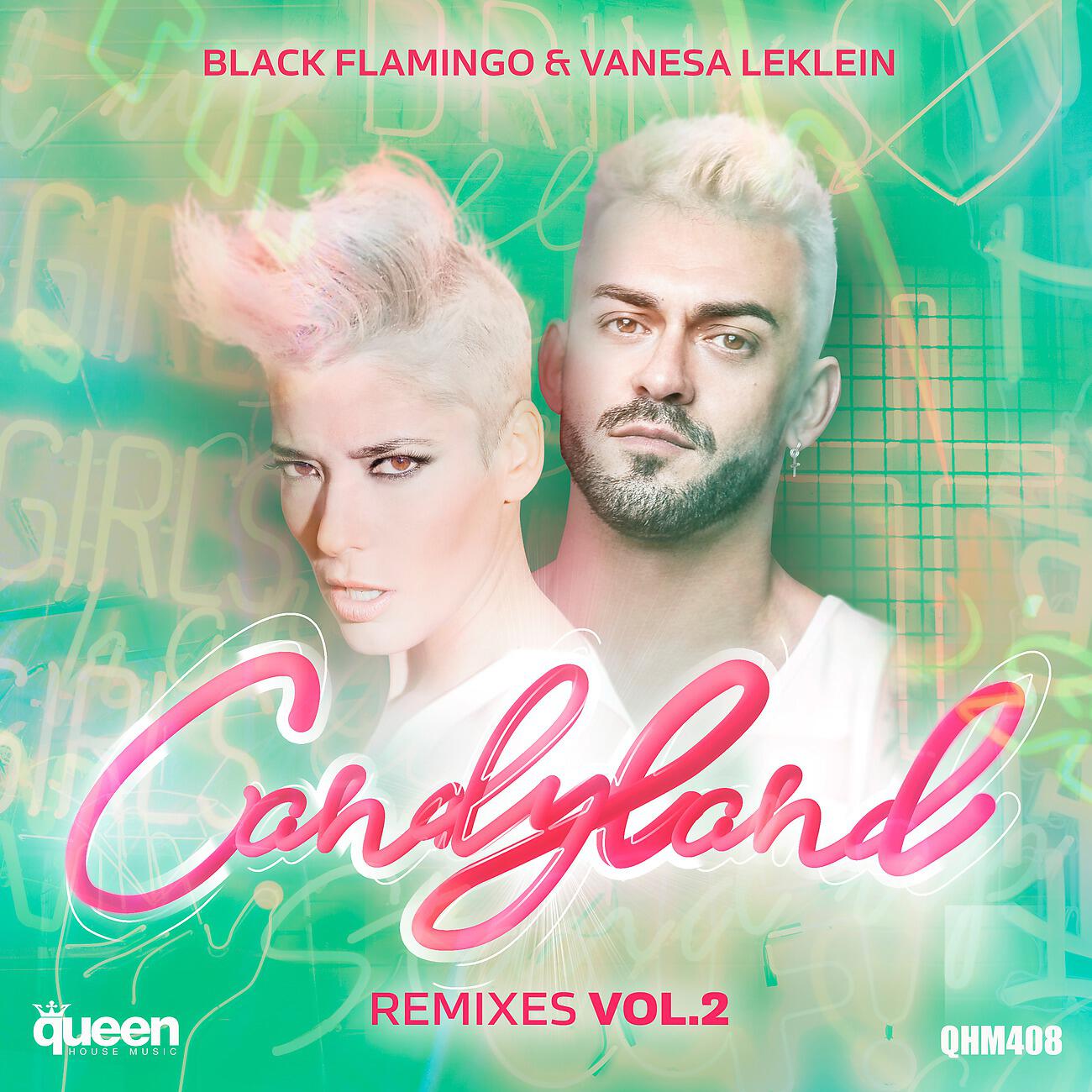 Black Flamingo - Candyland (Viktor Varela Remix)