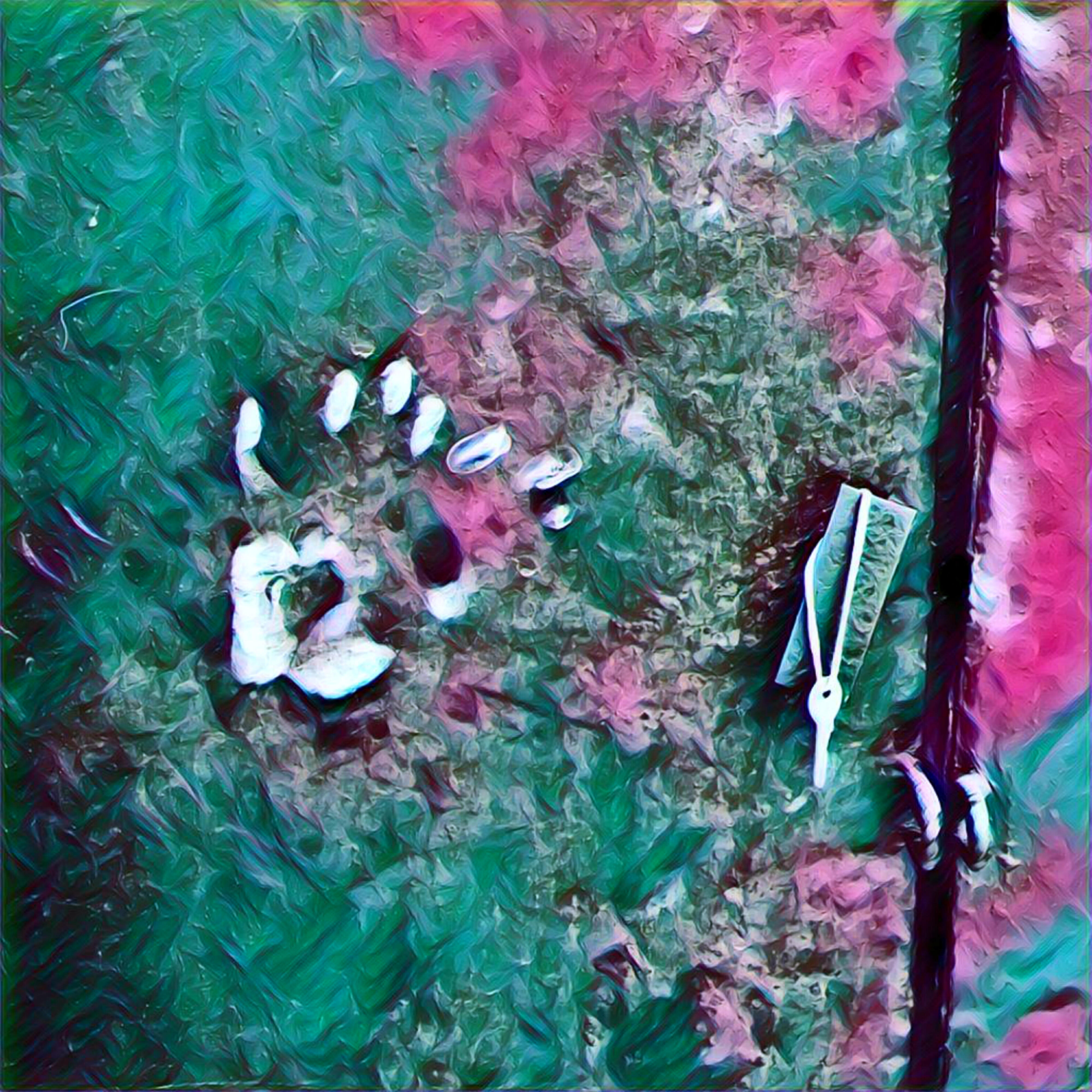 Dead Prince, ster.core - 2007