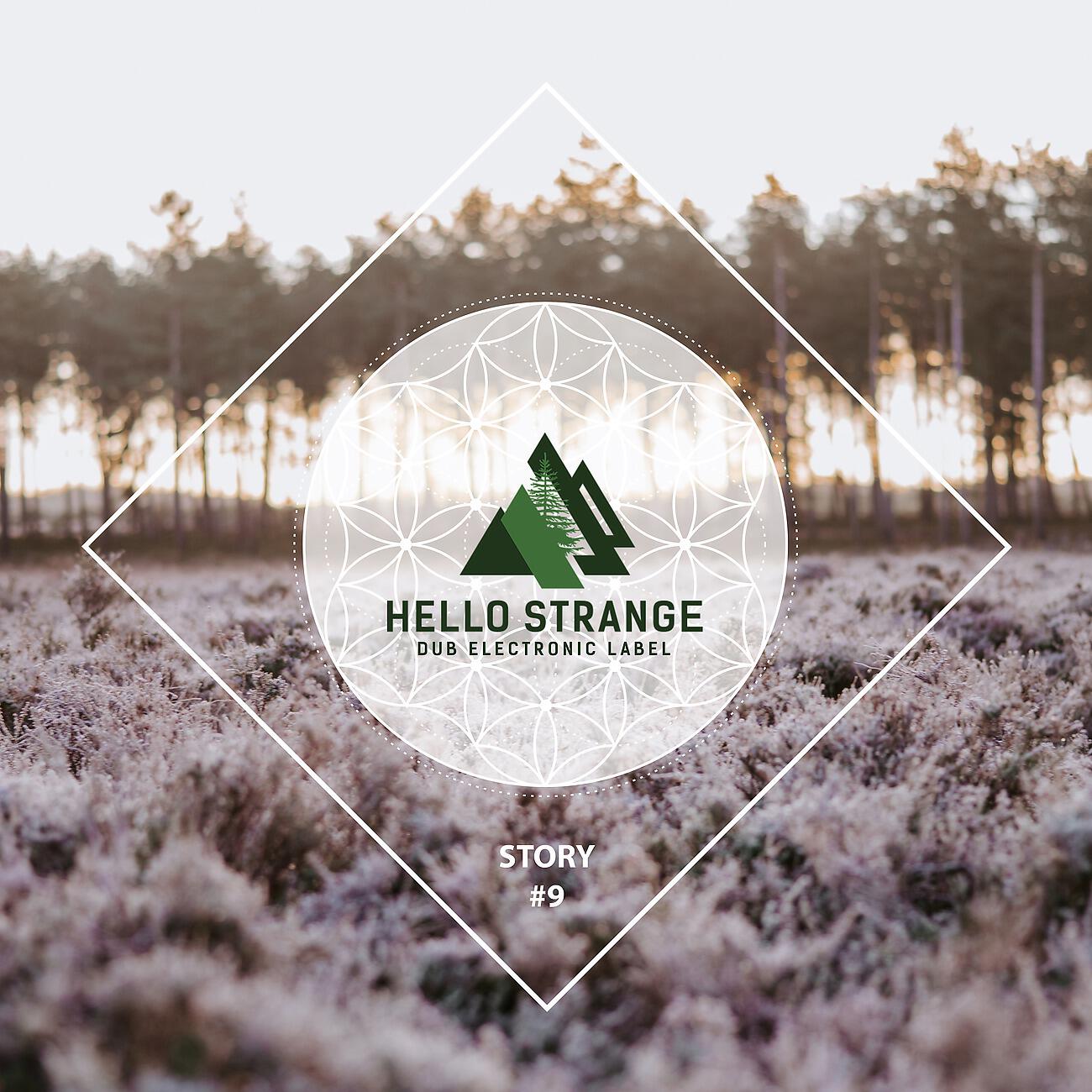 Alexander Bogdanov - Home