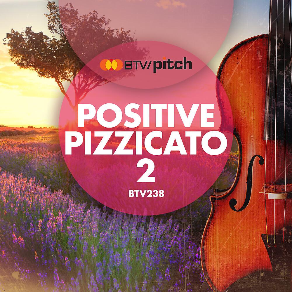 Постер альбома Positive Pizzicato 2