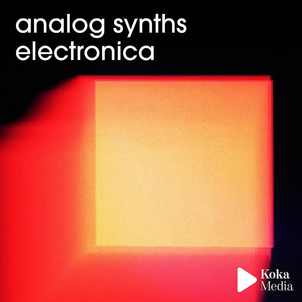 Постер альбома Analog Synths Electronica