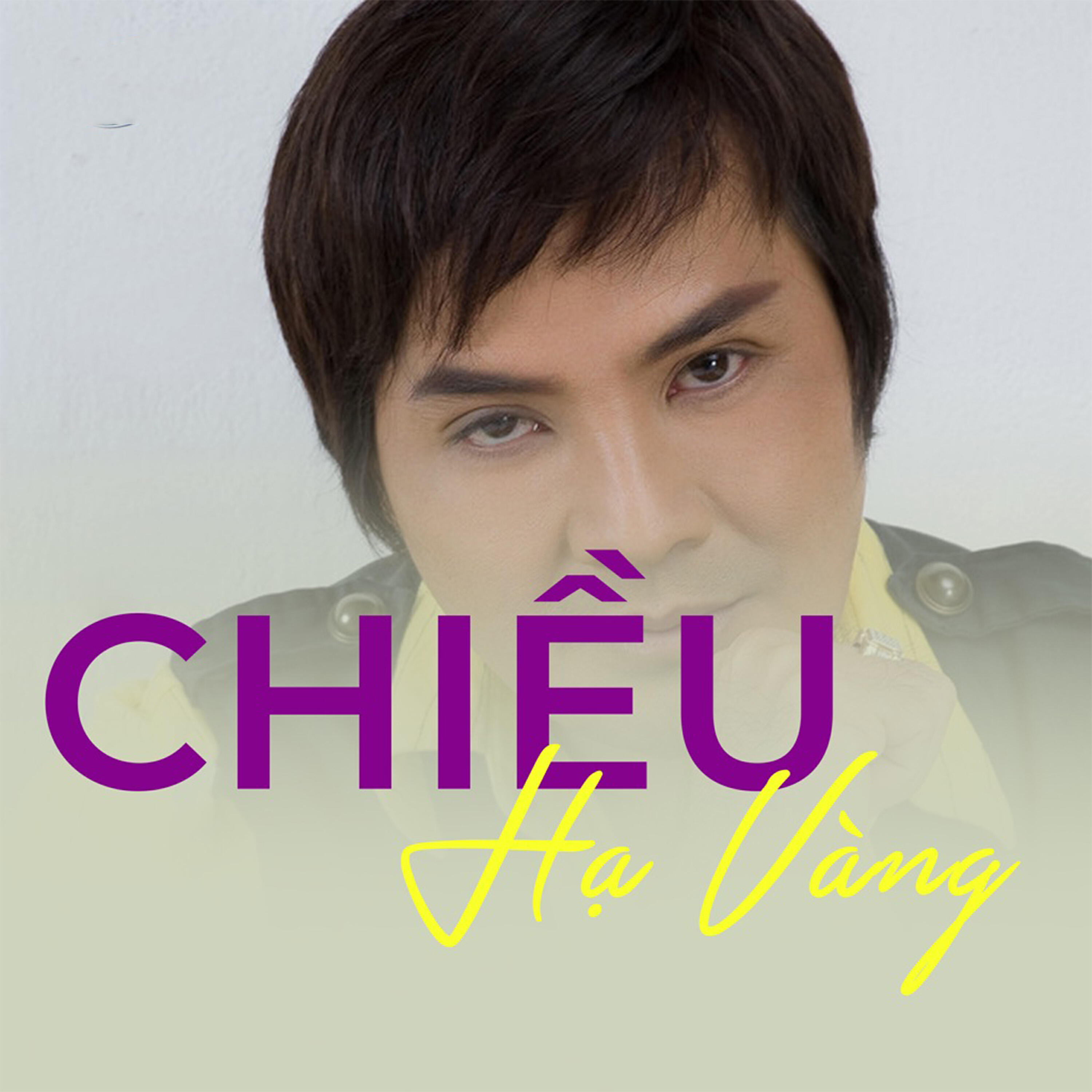 Ngọc Sơn - Chiều hạ vàng