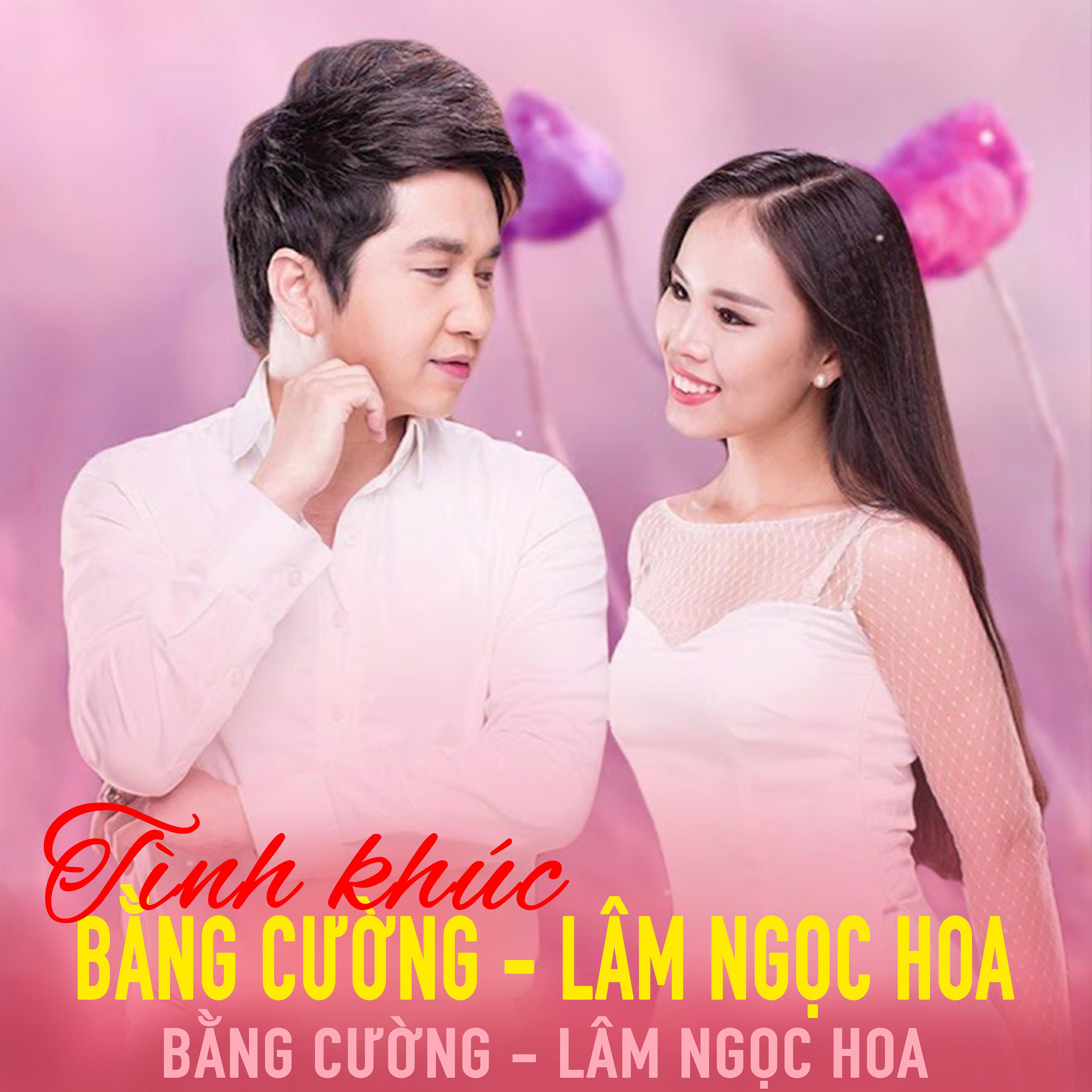 Постер альбома Tình Khúc