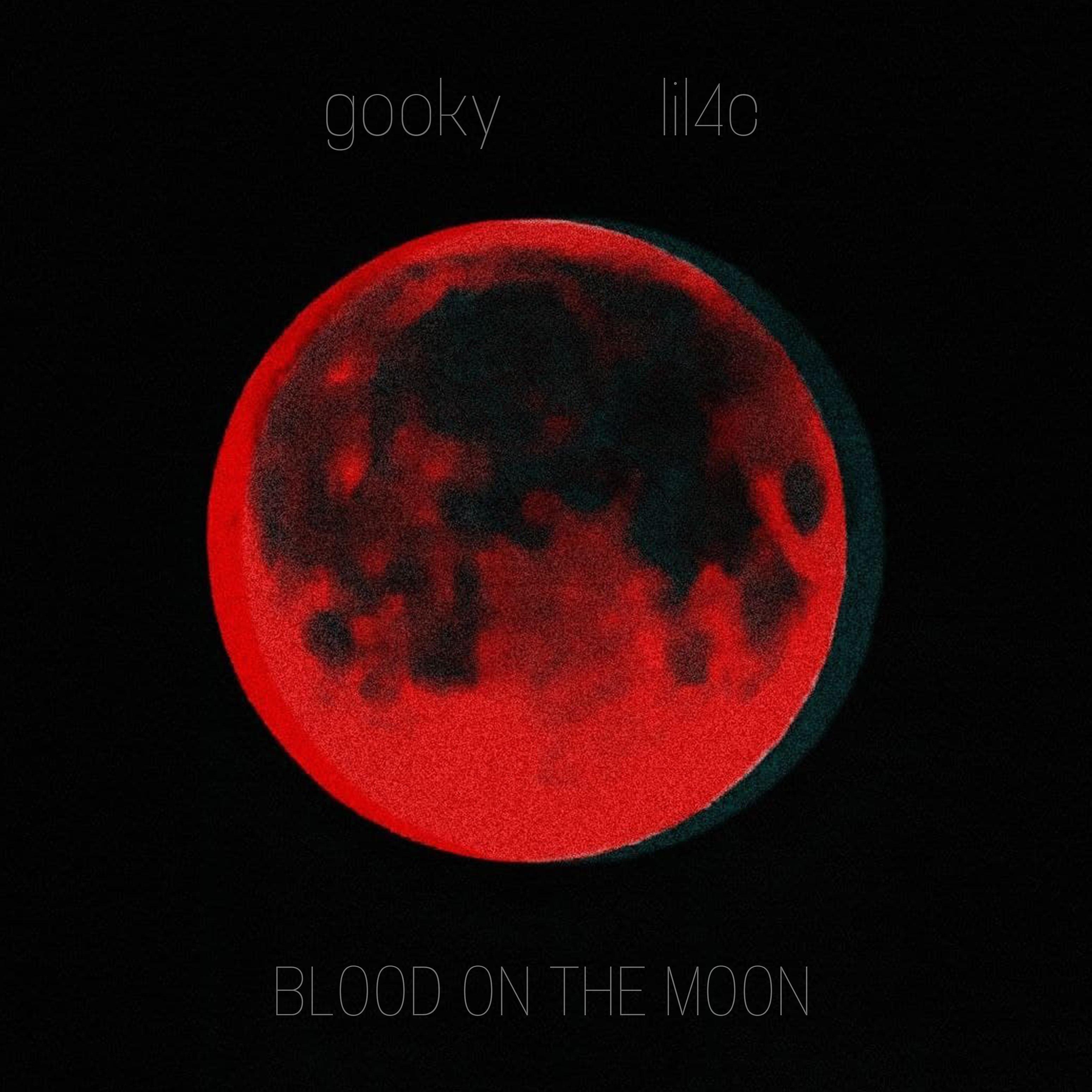 Постер альбома Blood on the Moon