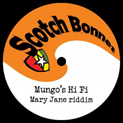 Mungo's Hi Fi - Higher Level