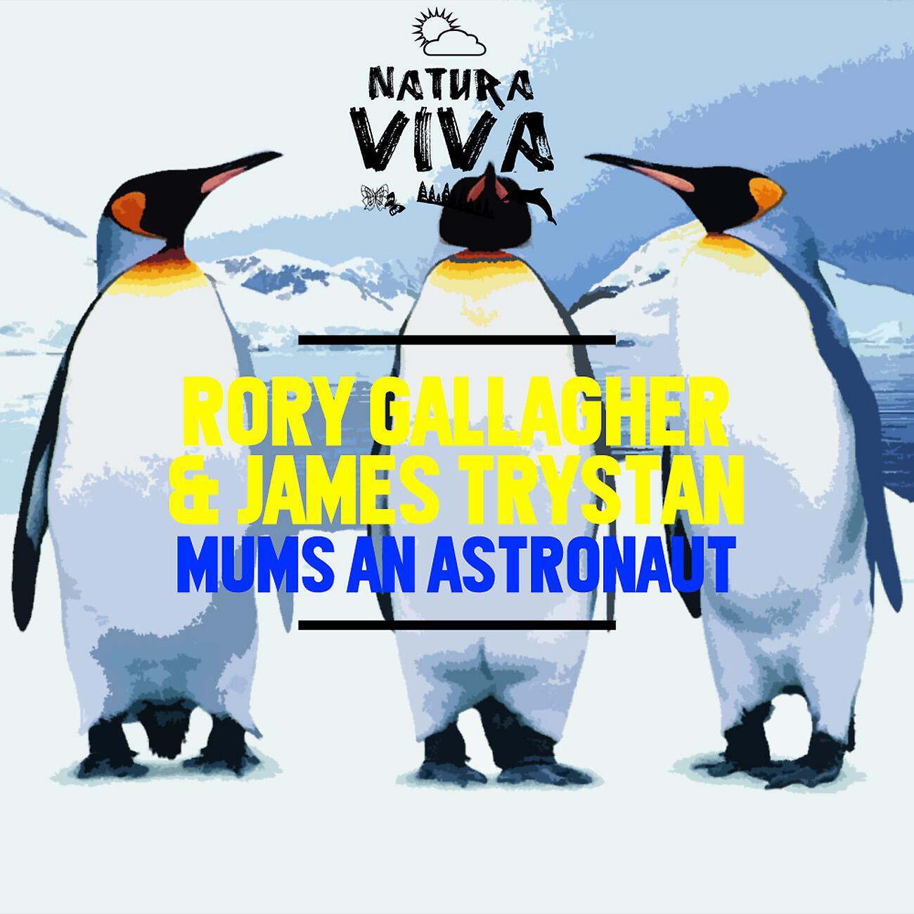 Rory Gallagher - Mums an Astronaut