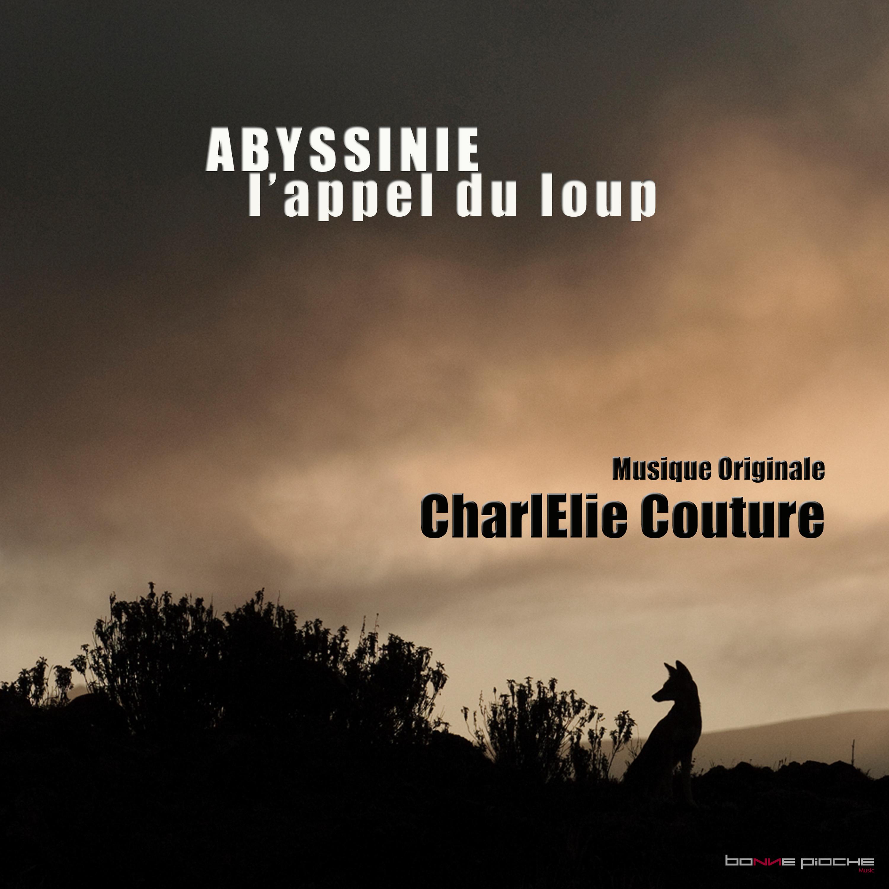 Постер альбома Abyssinie, l'appel du loup (Musiques originales du film)