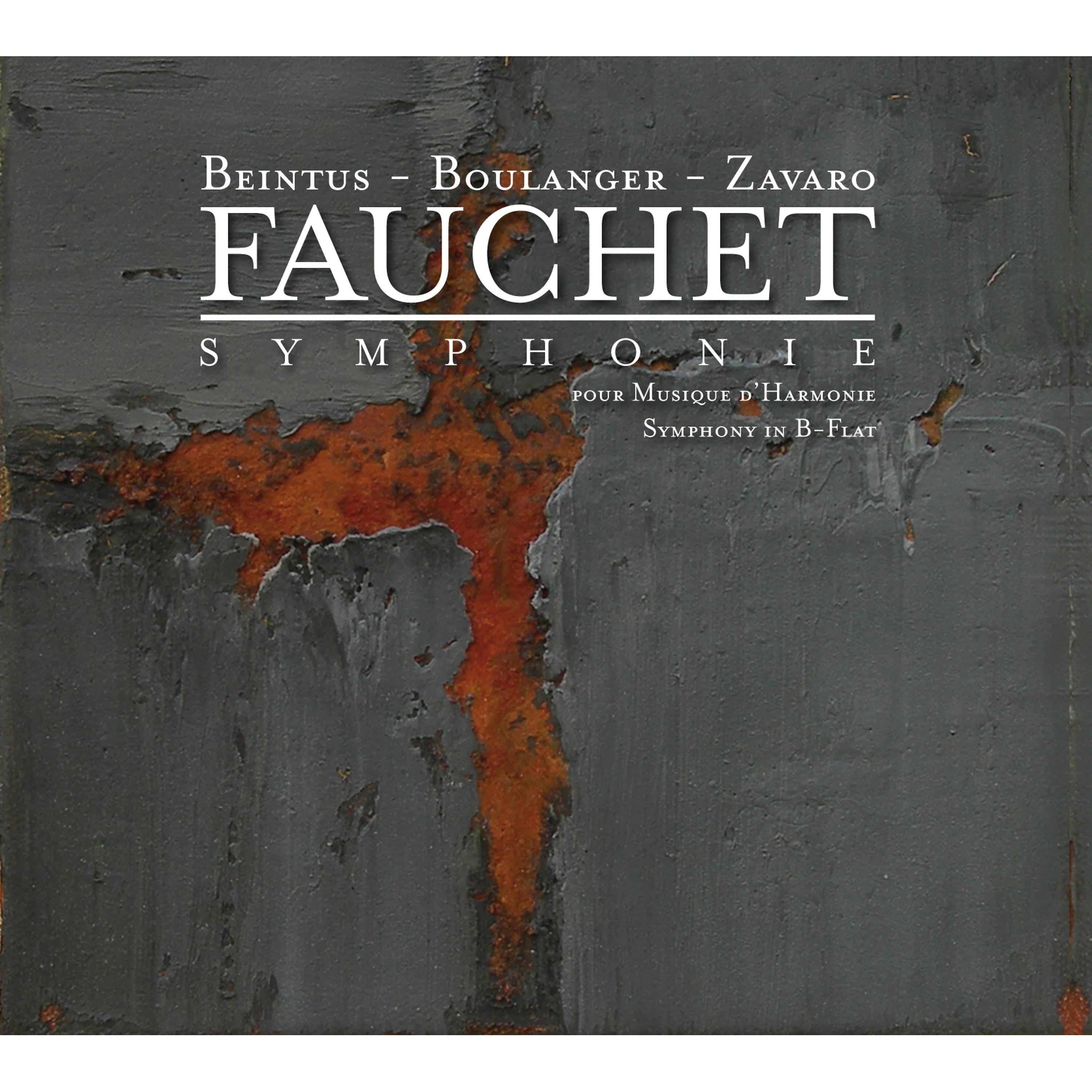 Постер альбома Fauchet: Symphony in B-Flat (World Premiere Recording)