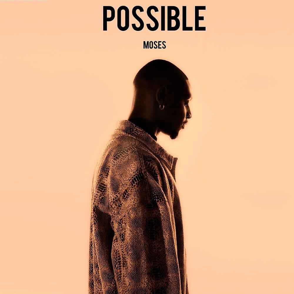 MOSES - Possible