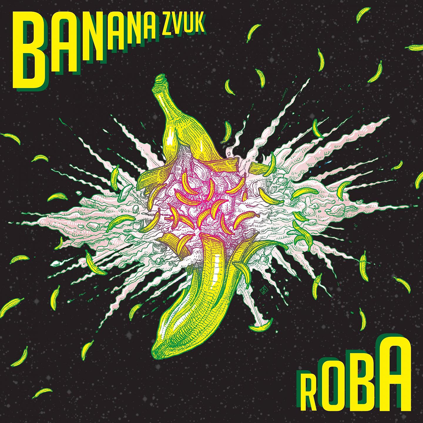 Постер альбома Roba