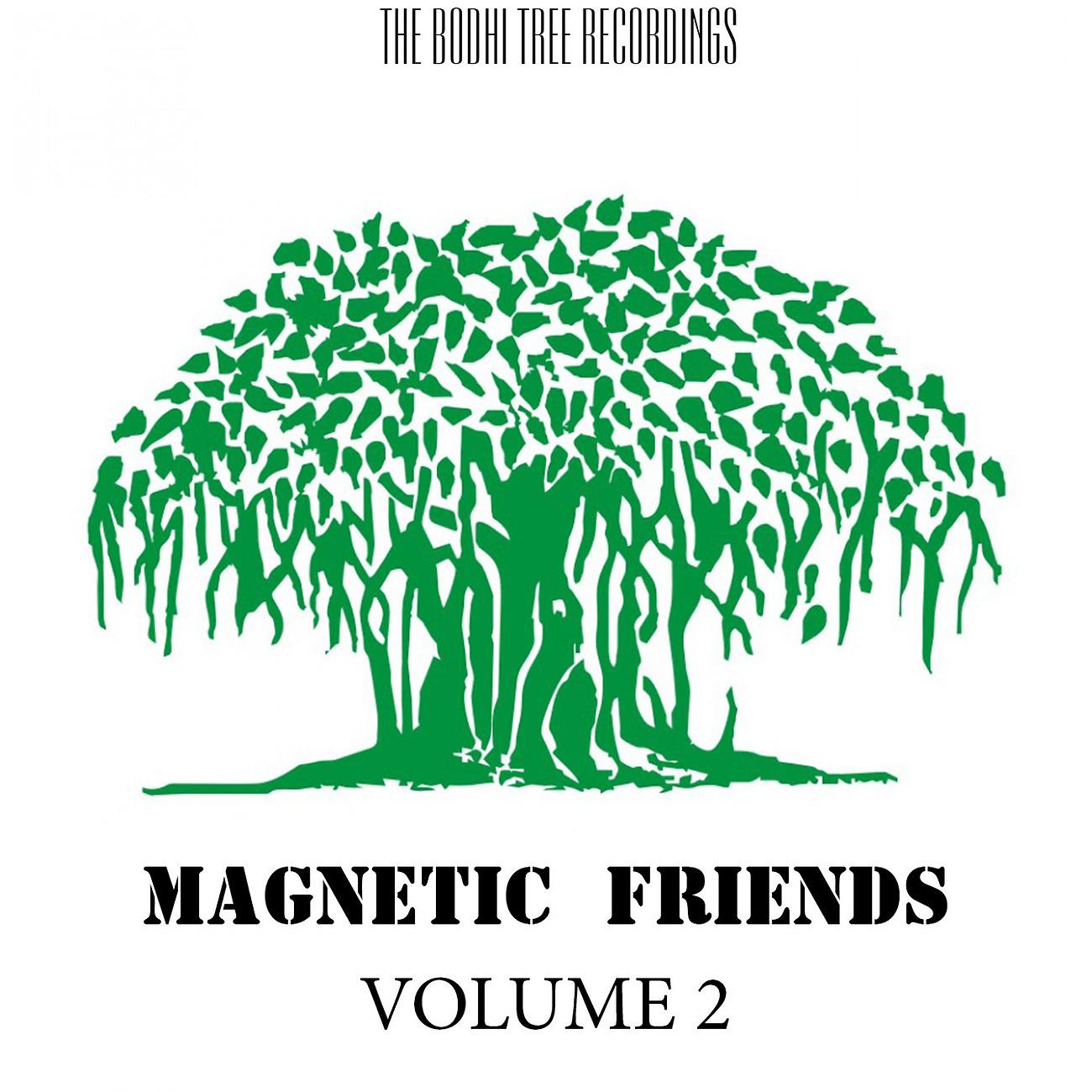 Постер альбома Magnetic Friends, Vol. 2