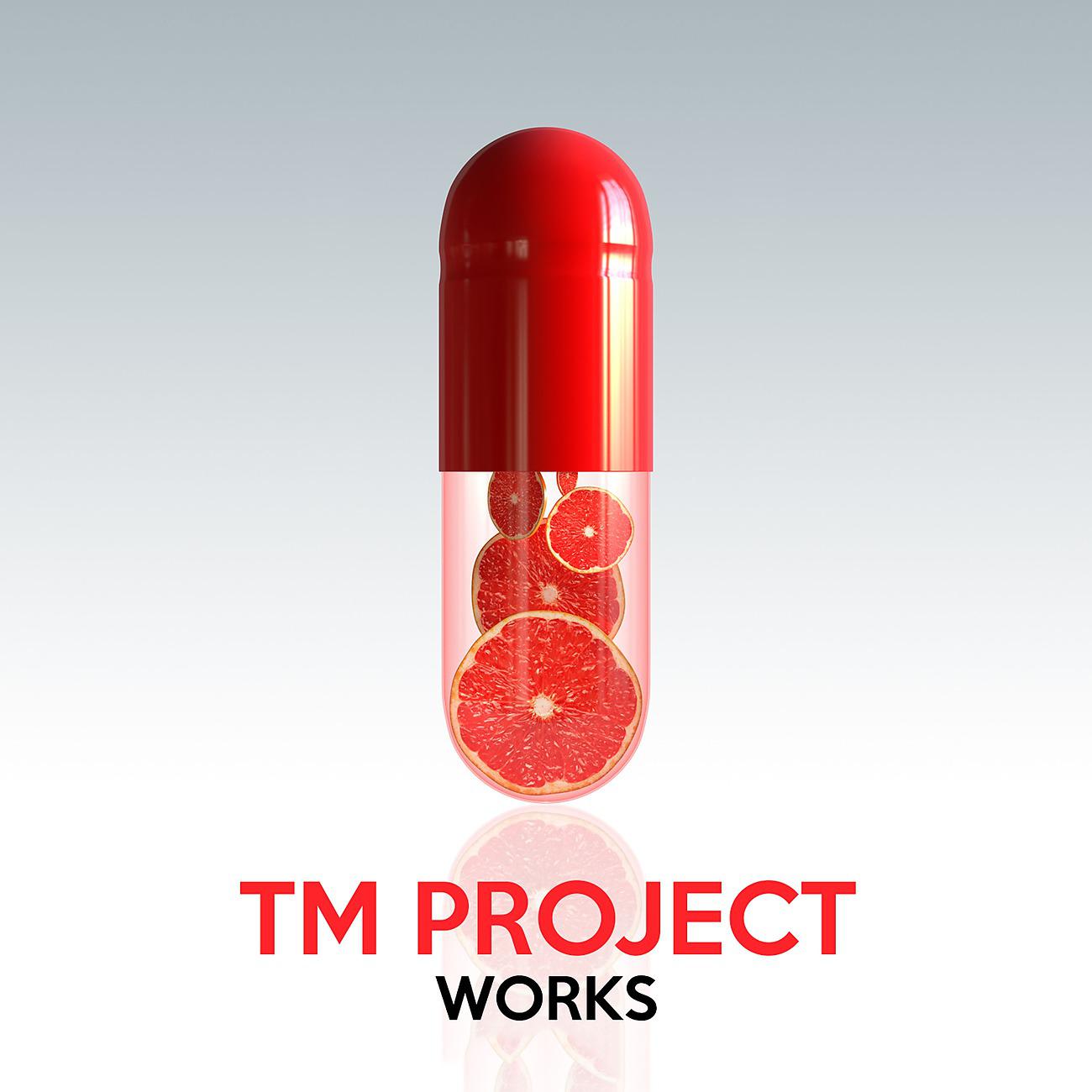 Постер альбома Tm Project Works
