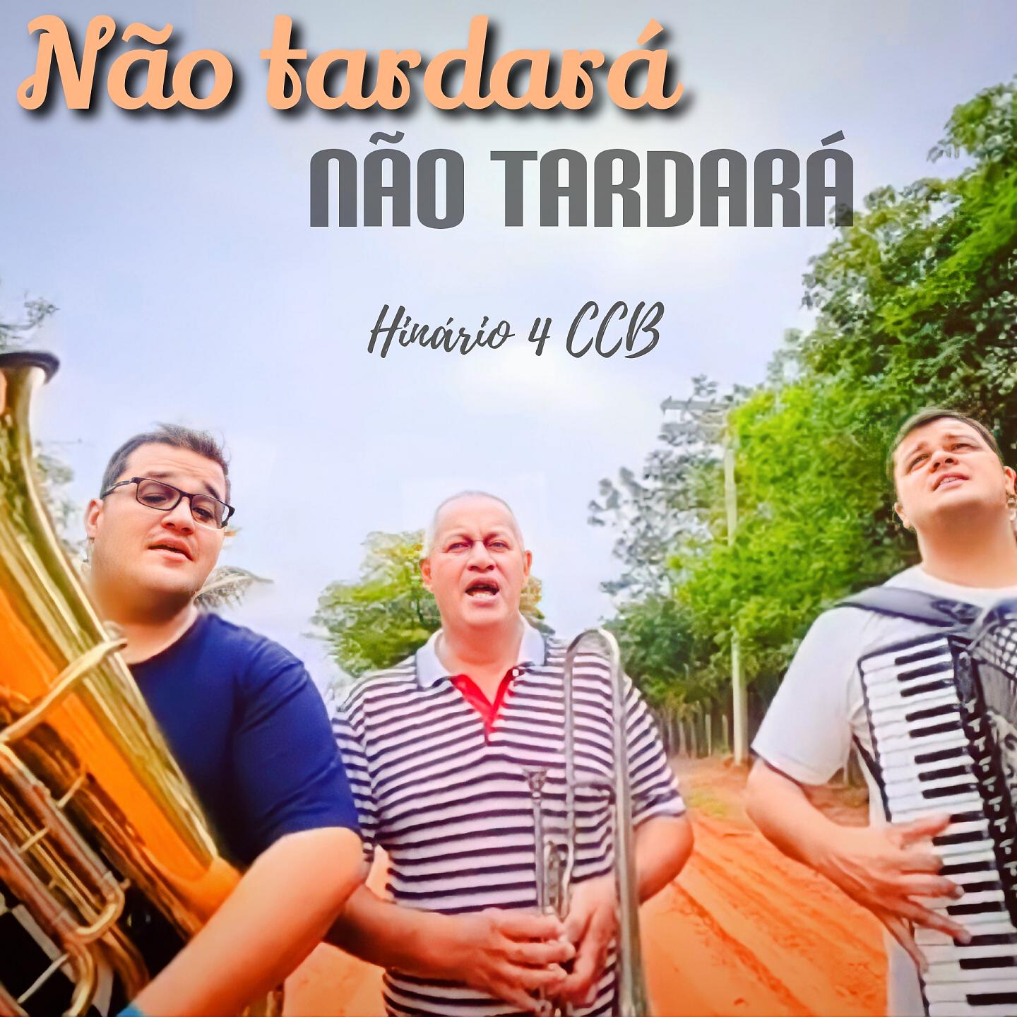 Постер альбома Não Tardará , Não Tardará
