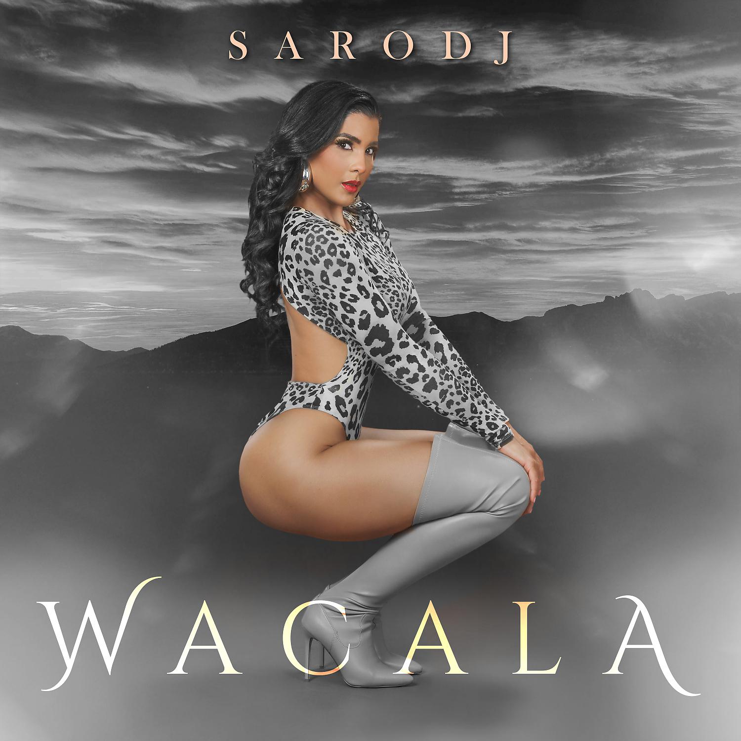 Постер альбома Wacala