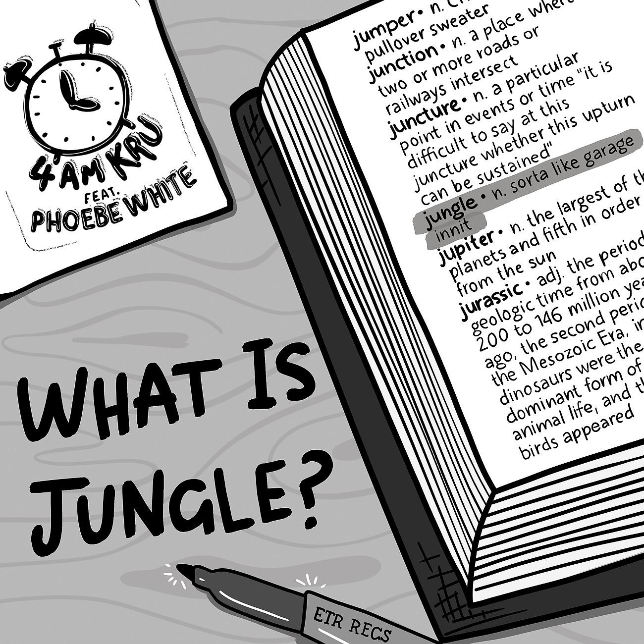 Постер альбома What Is Jungle