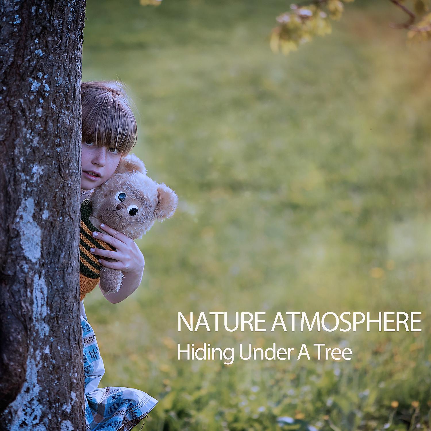 Постер альбома Nature Atmosphere: Hiding Under A Tree