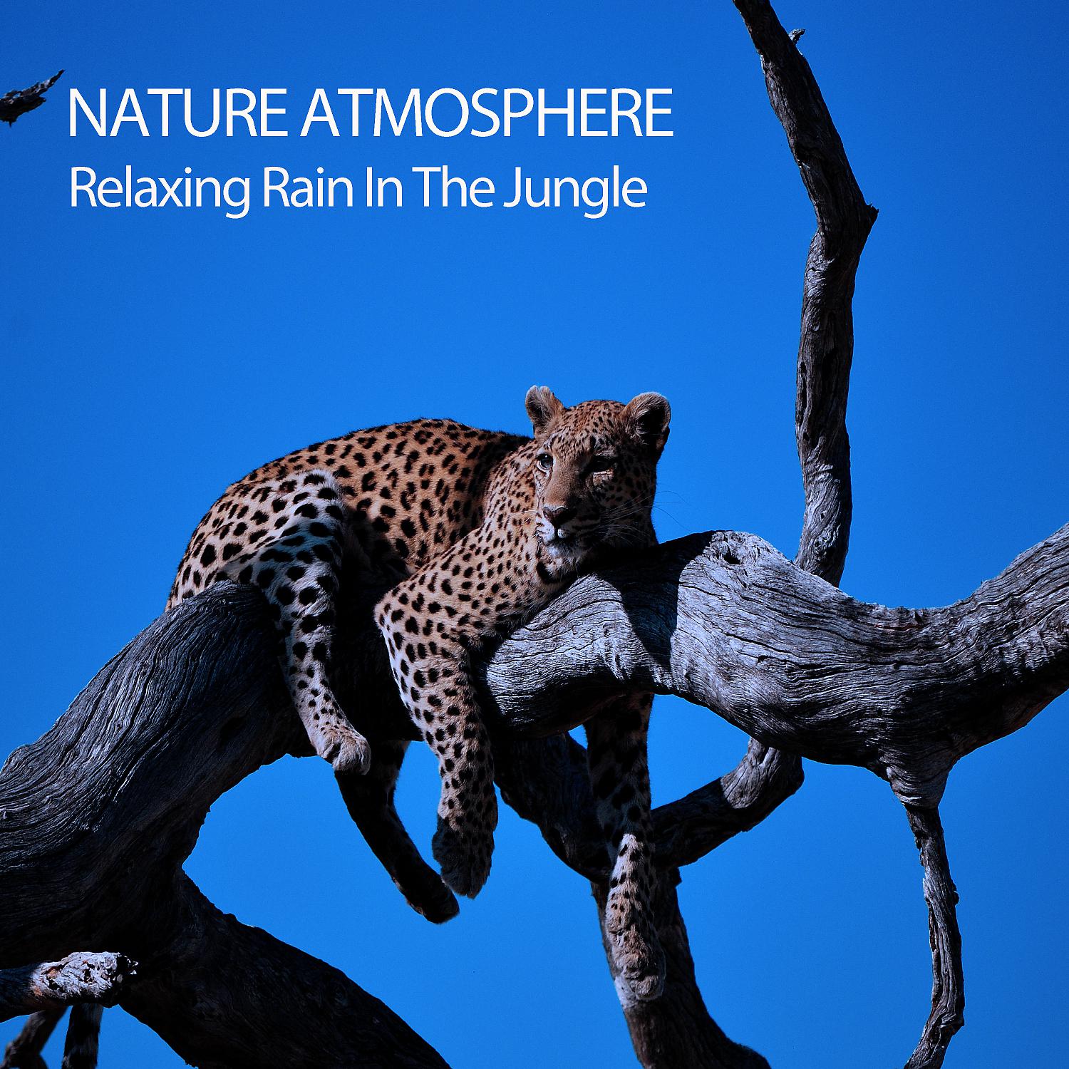 Постер альбома Nature Atmosphere: Relaxing Rain In The Jungle
