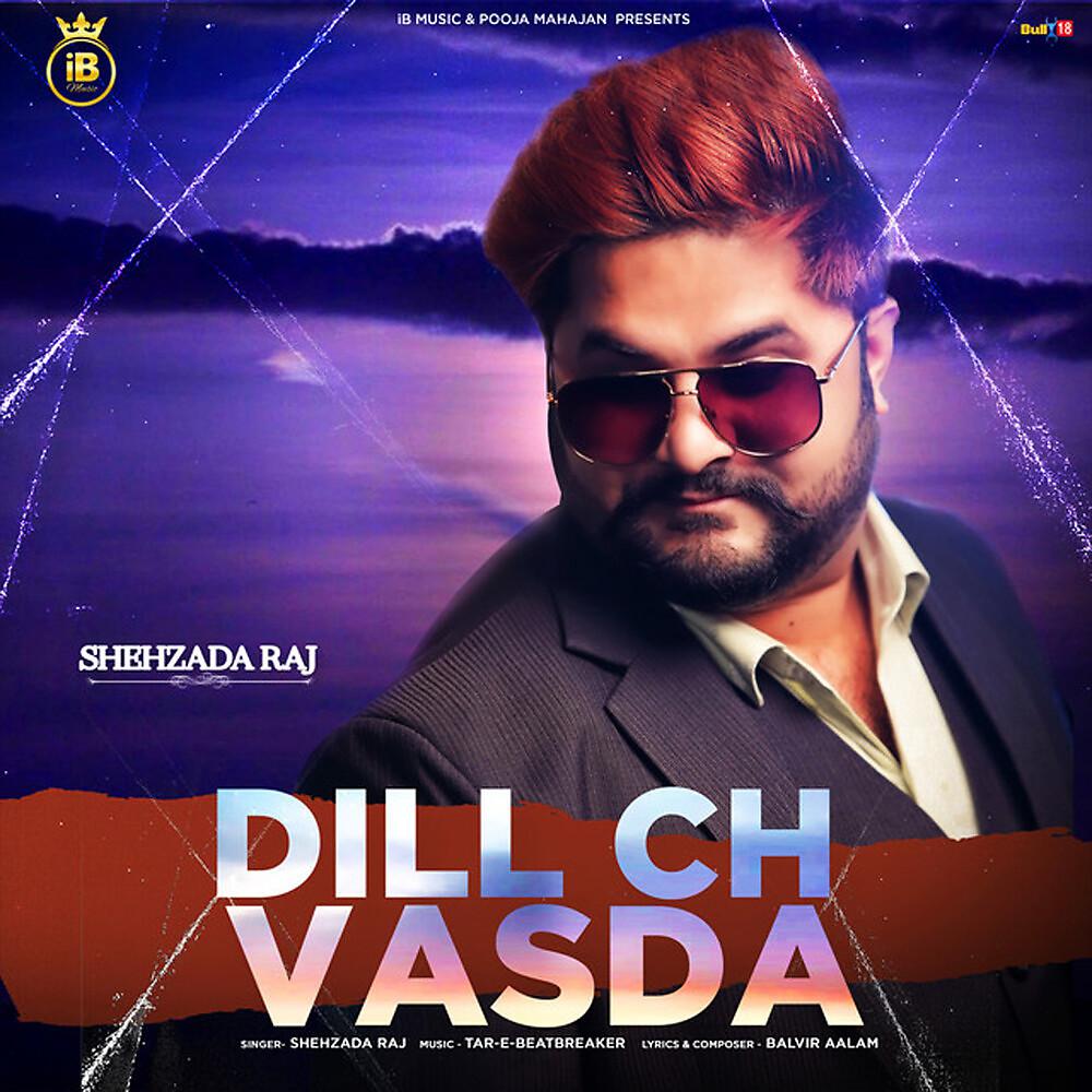 Постер альбома Dill Ch Vasda