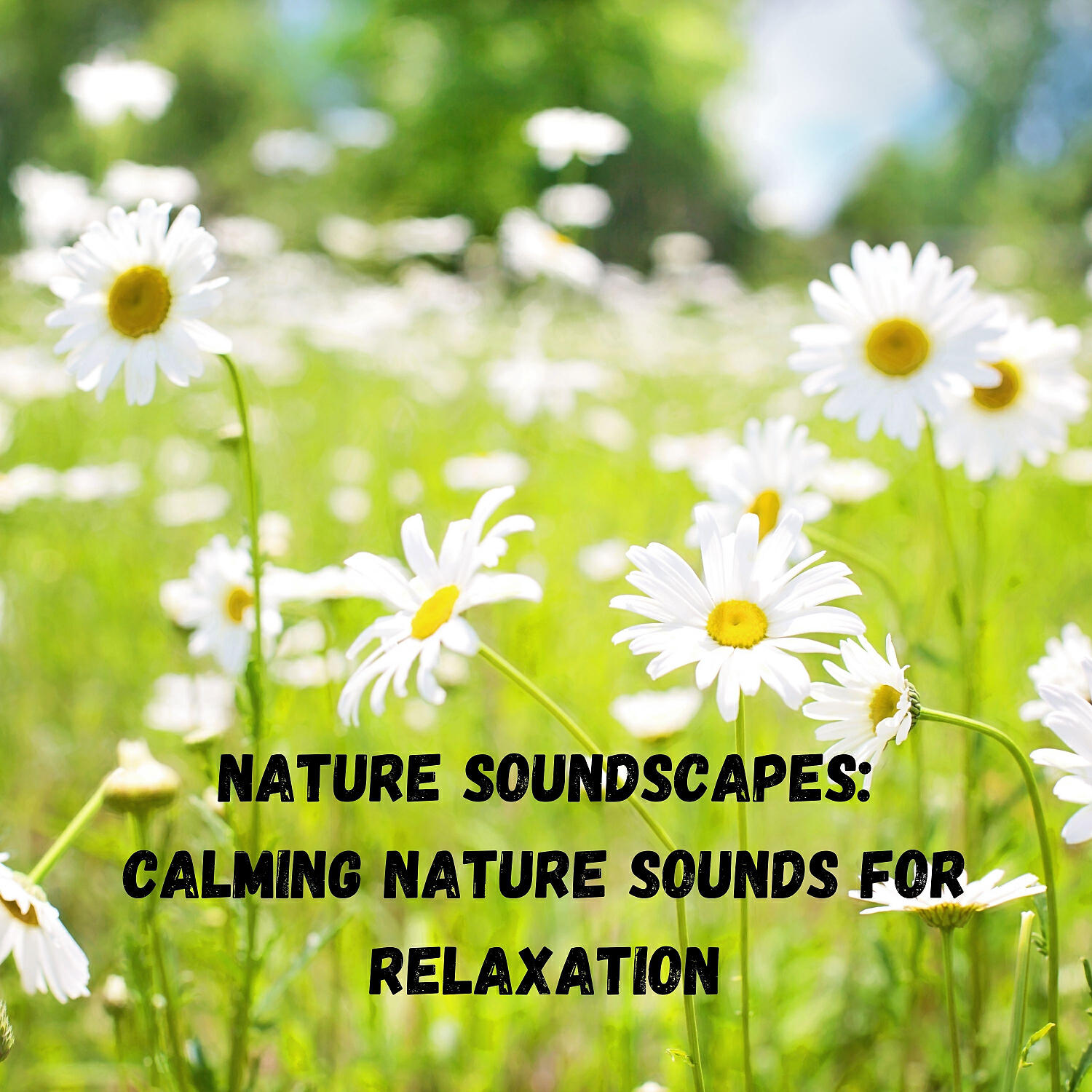 Weather - Calm Whistling and Blowing