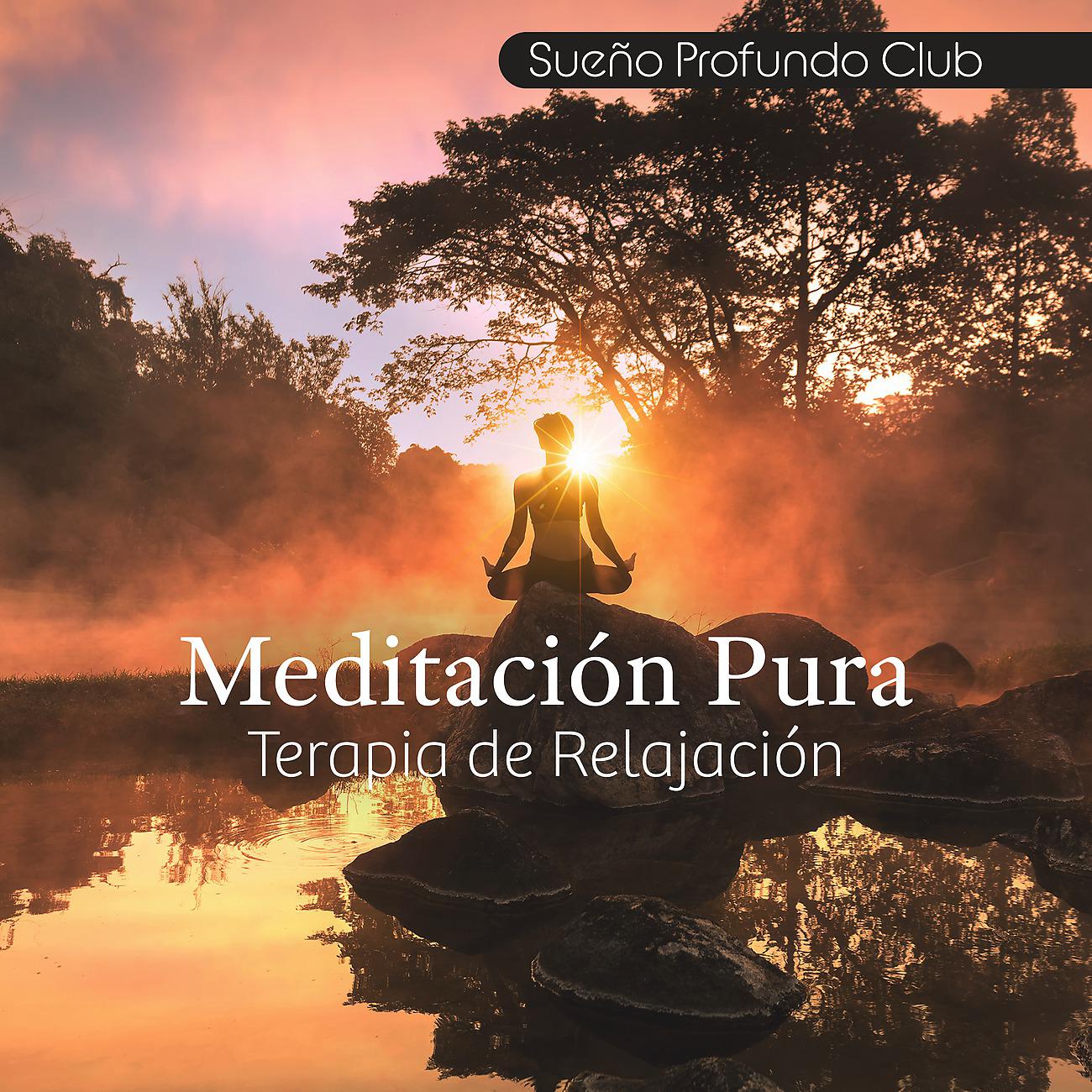 Постер альбома Meditación Pura