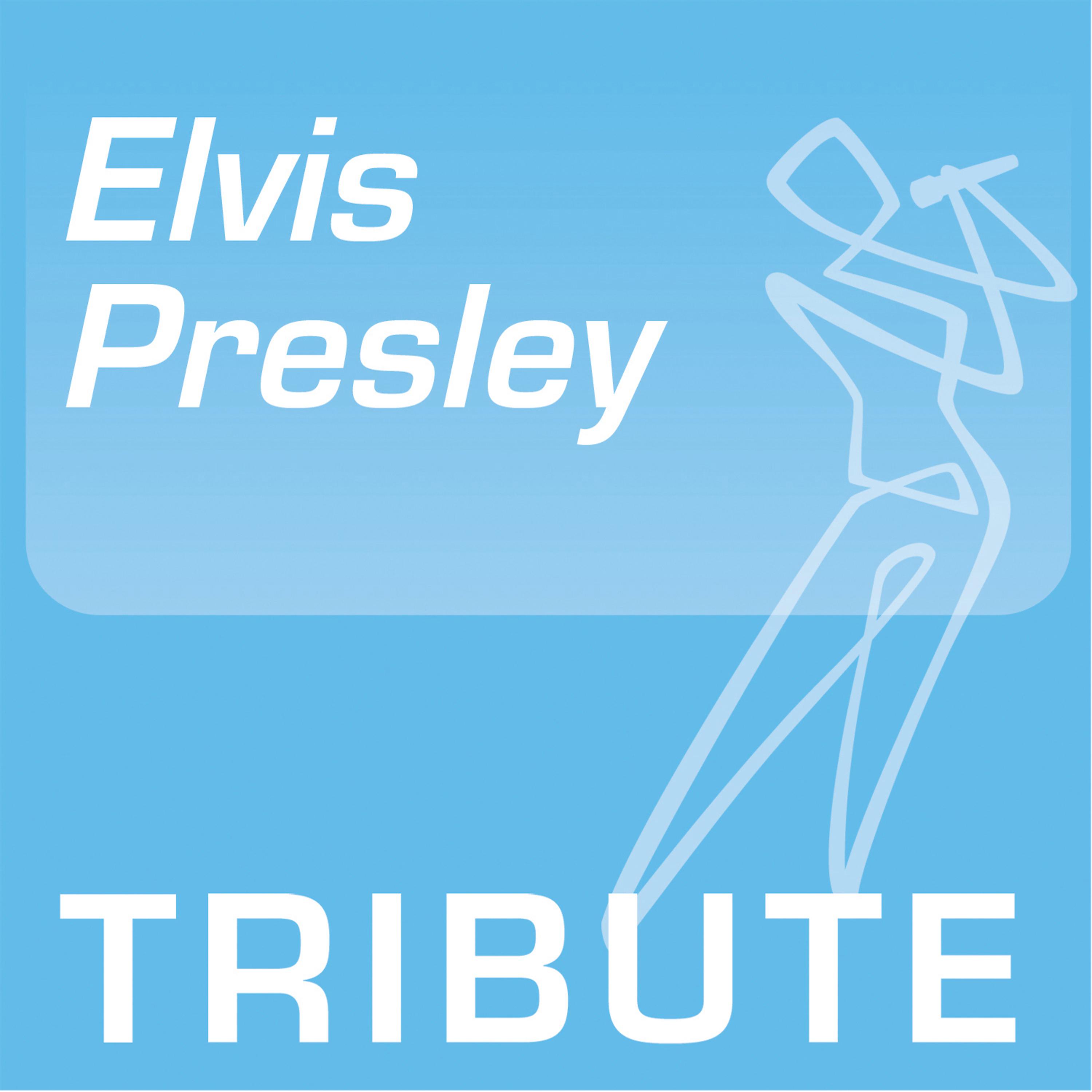 Постер альбома Tribute To: Elvis Presley