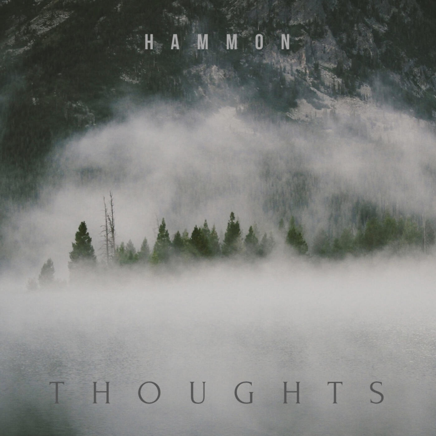 Hammon - Thoughts