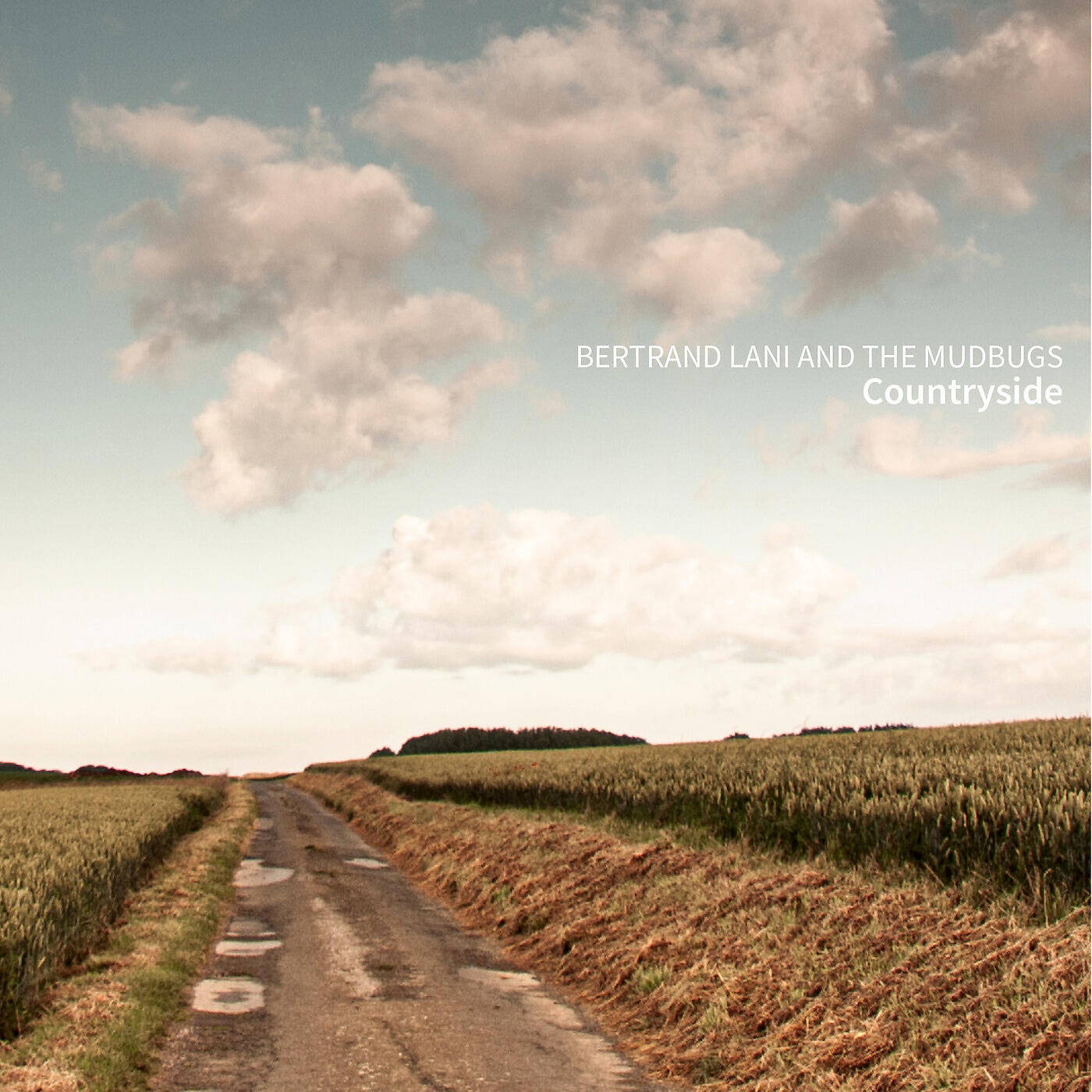 Bertrand Lani and the Mudbugs - Black Beard and Blue Mood