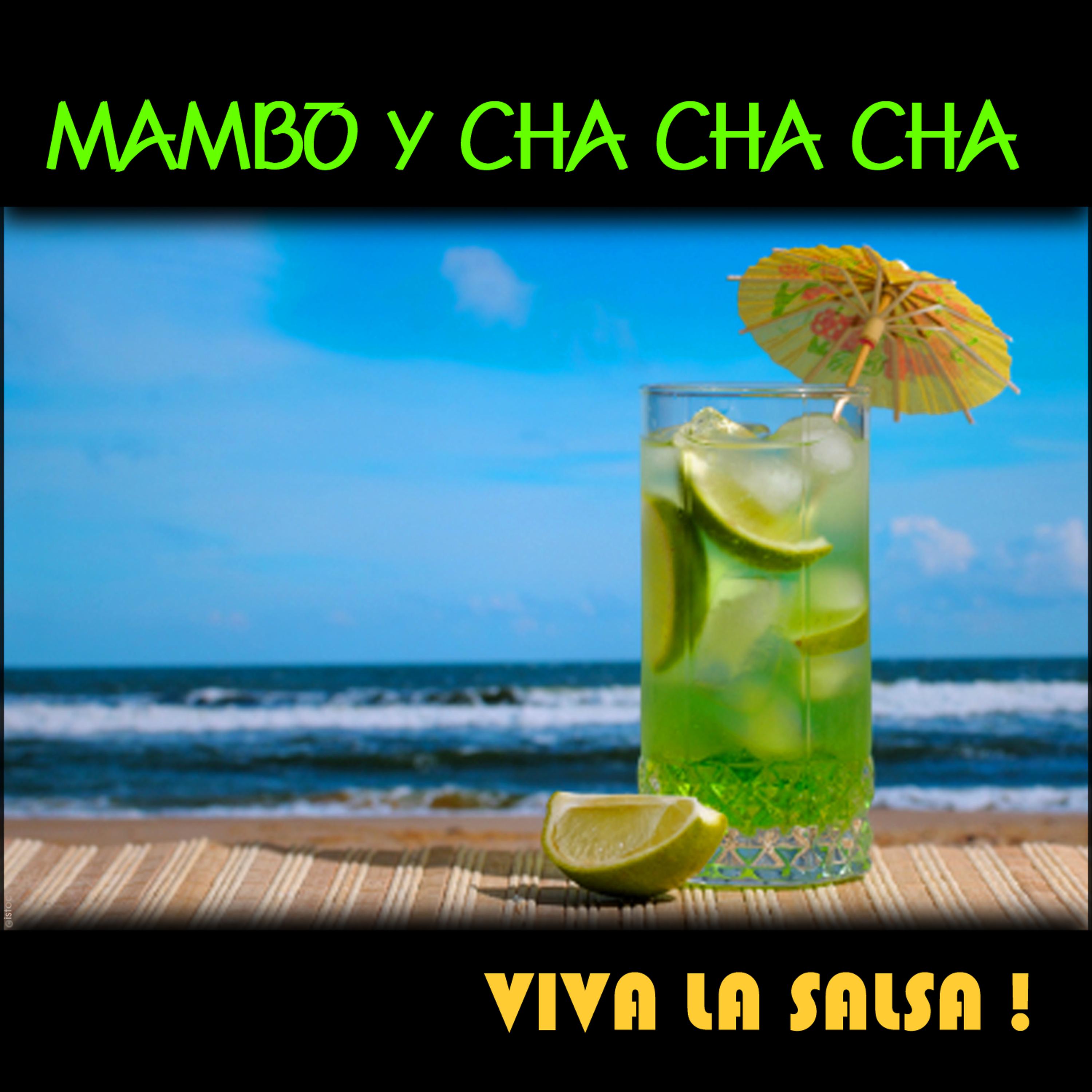 Постер альбома Mambo Y Cha Cha Cha, Viva La Salsa !